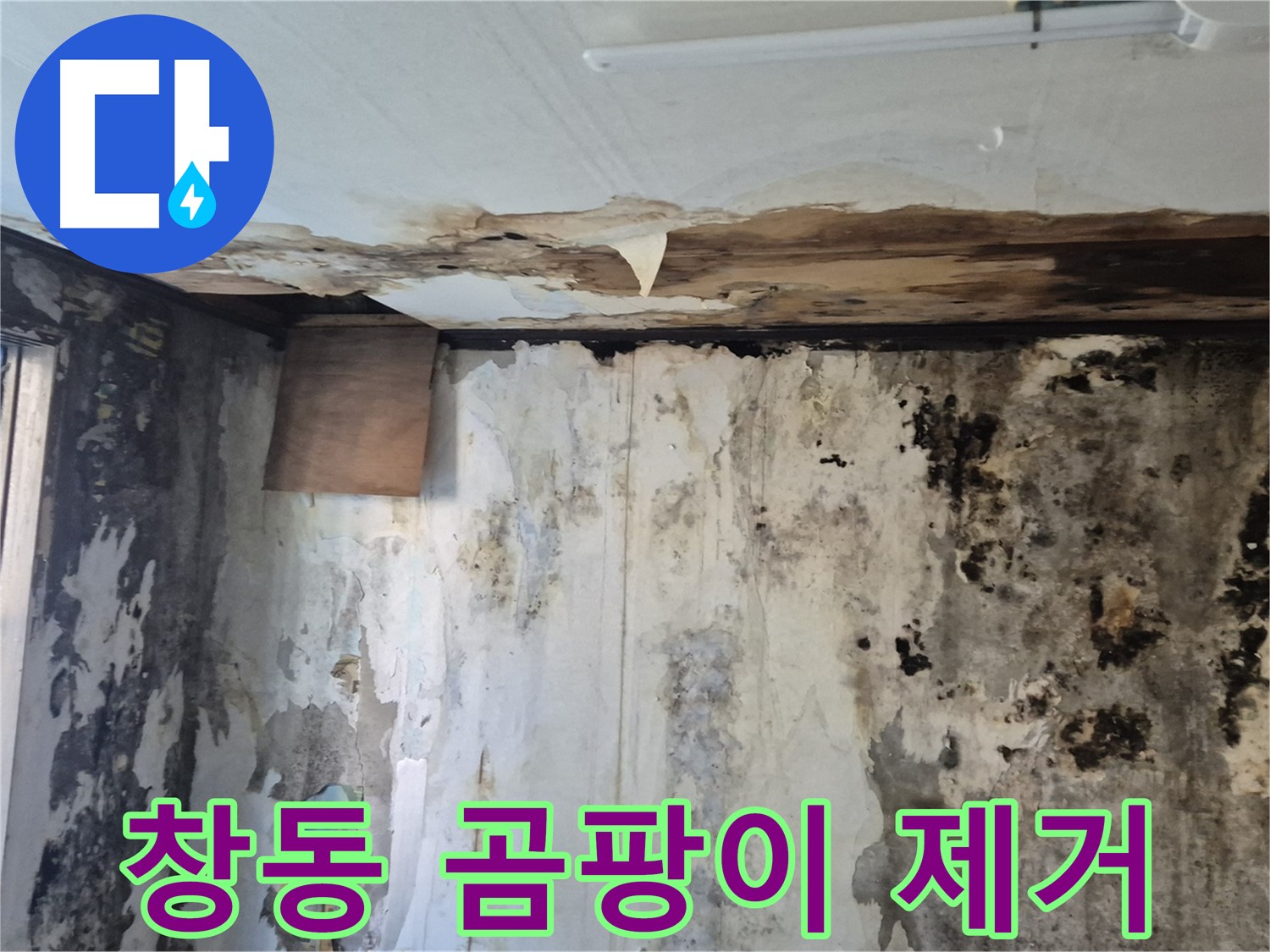 창동 곰팡이 누수 해결 과정 - 누수 원인 진단부터 완벽한 시공까지 꼼꼼하게 담았습니다.