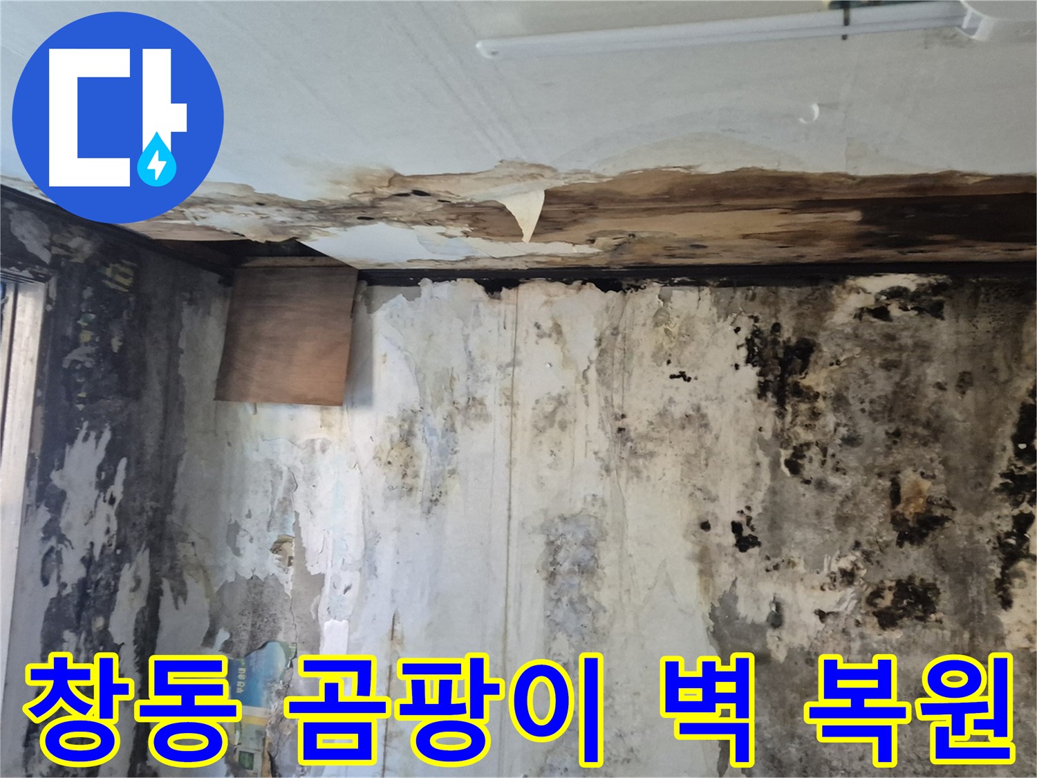 창동 주택의 곰팡이로 뒤덮인 벽면 - 누수 해결과 함께 완벽하게 복원된 모습입니다.