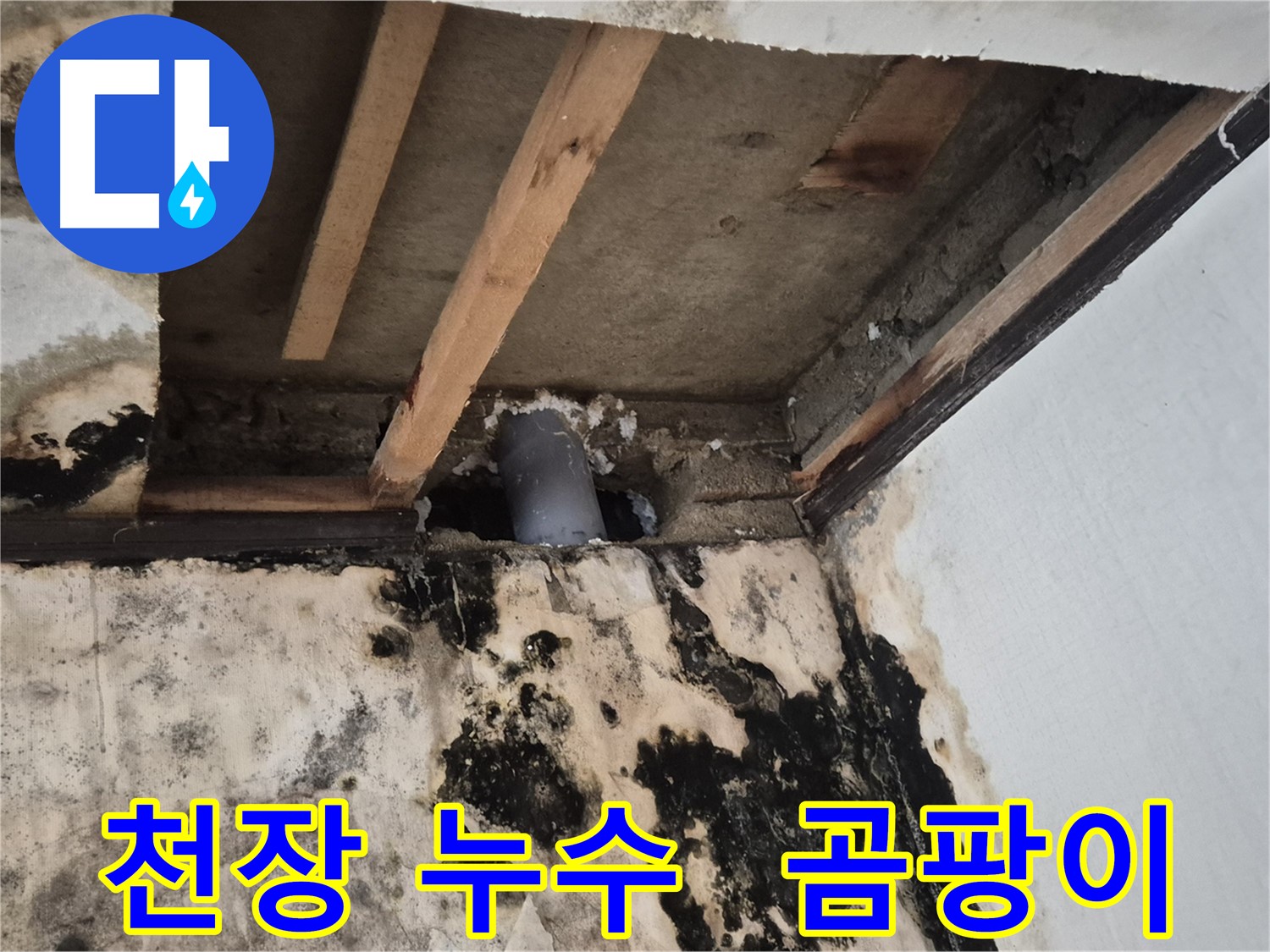 천장 누수 발생으로 인한 곰팡이 - 누수 원인 파악 및 해결 과정