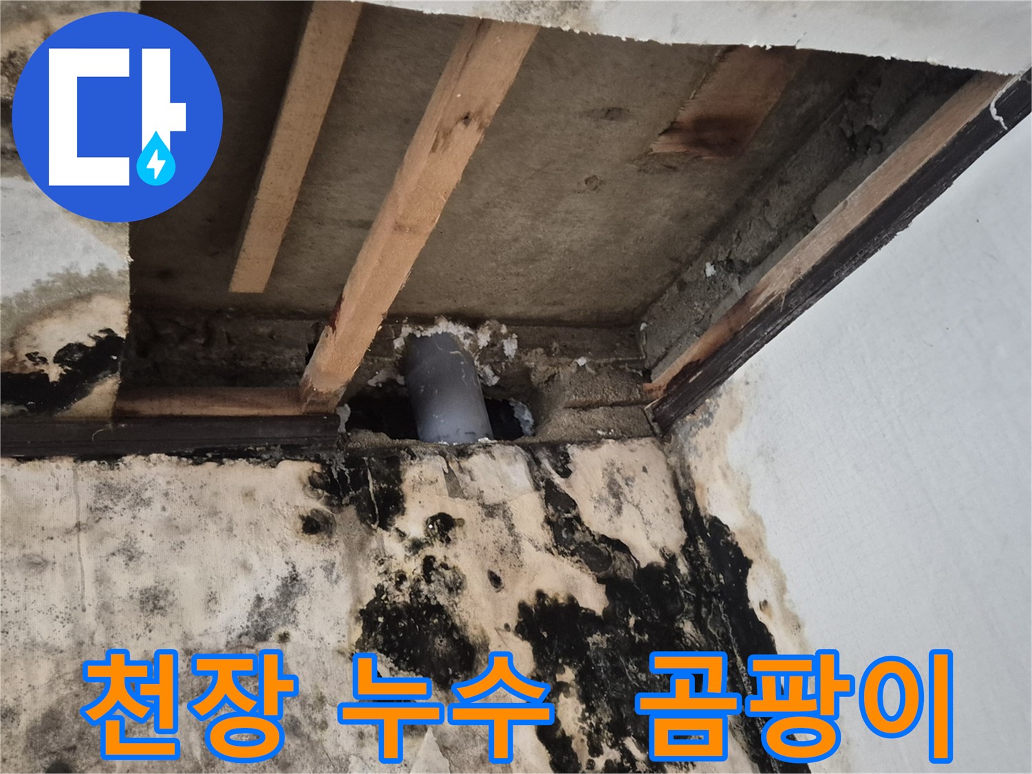 천장 누수 발생으로 인한 곰팡이 - 누수 원인 파악 및 해결 과정