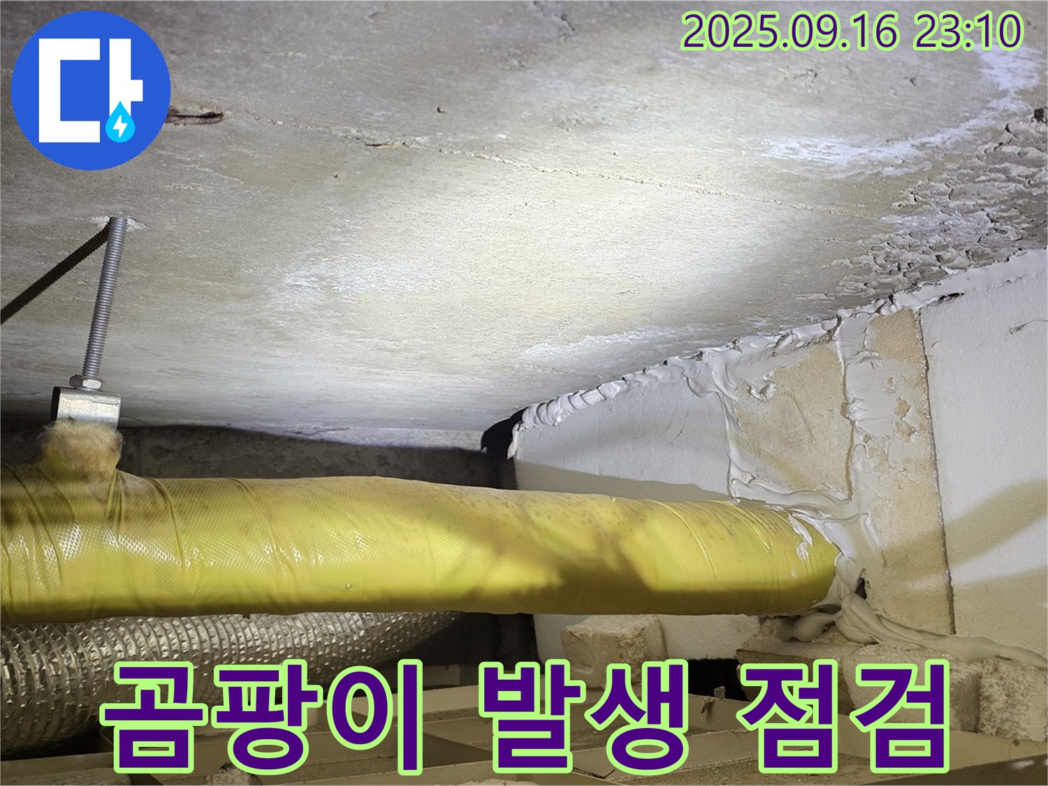 곰팡이 발생 가능성 점검 - 천장에 곰팡이 발생 가능성을 점검하는 모습