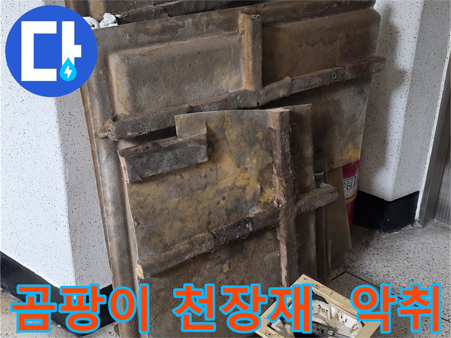 곰팡이 핀 천장재와 조명 - 불쾌한 악취 발생
