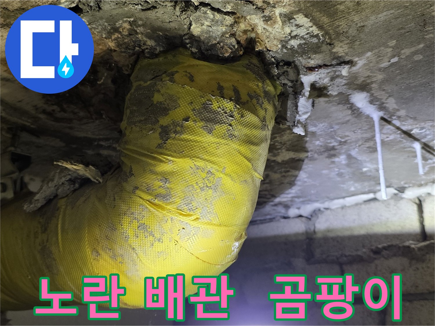 노란 배관의 습격, 곰팡이와 악취 - 신사동 새절역 현대아파트 인근 누수 긴급 해결