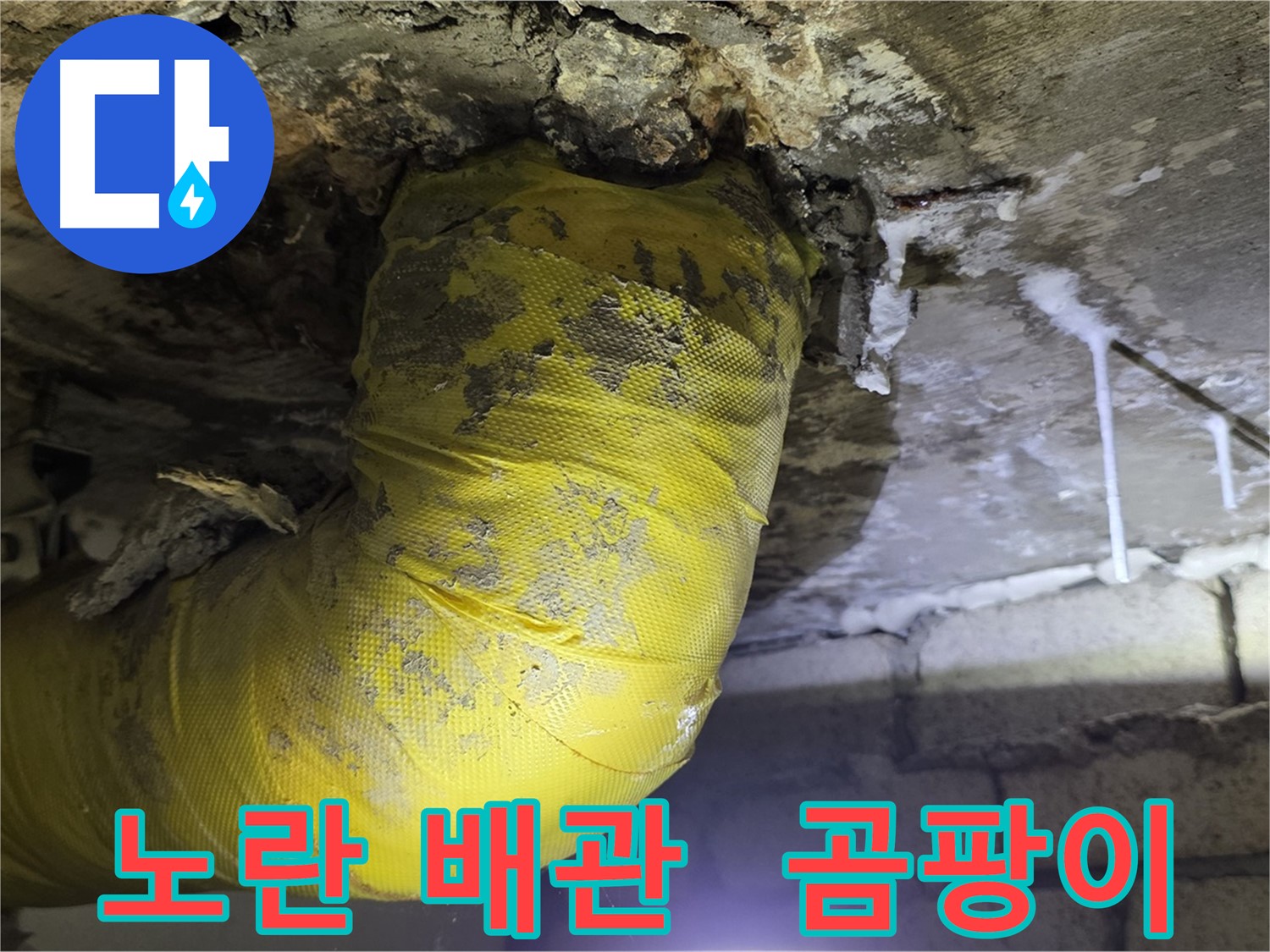 노란 배관의 최후, 곰팡이와 악취 - 신사동 새절역 인근 누수 긴급 해결