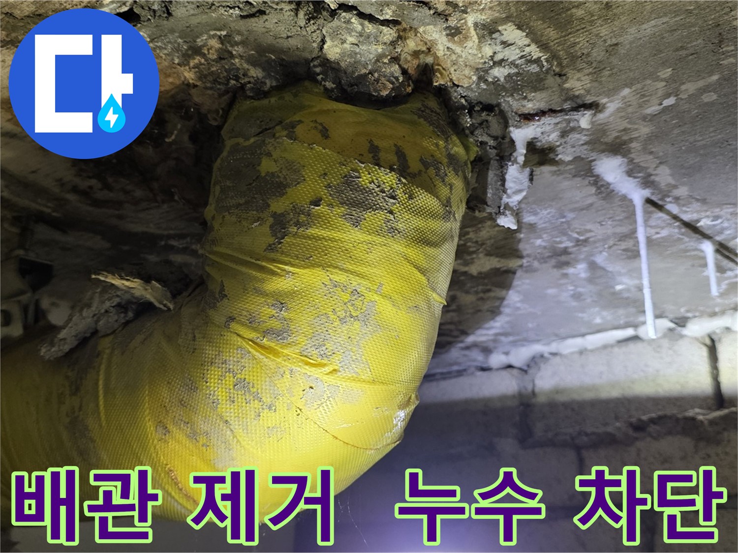 누수 완벽 차단 - 서울 은평구 신사동 누수, 낡은 노란 배관 OUT, 곰팡이 완전 소탕