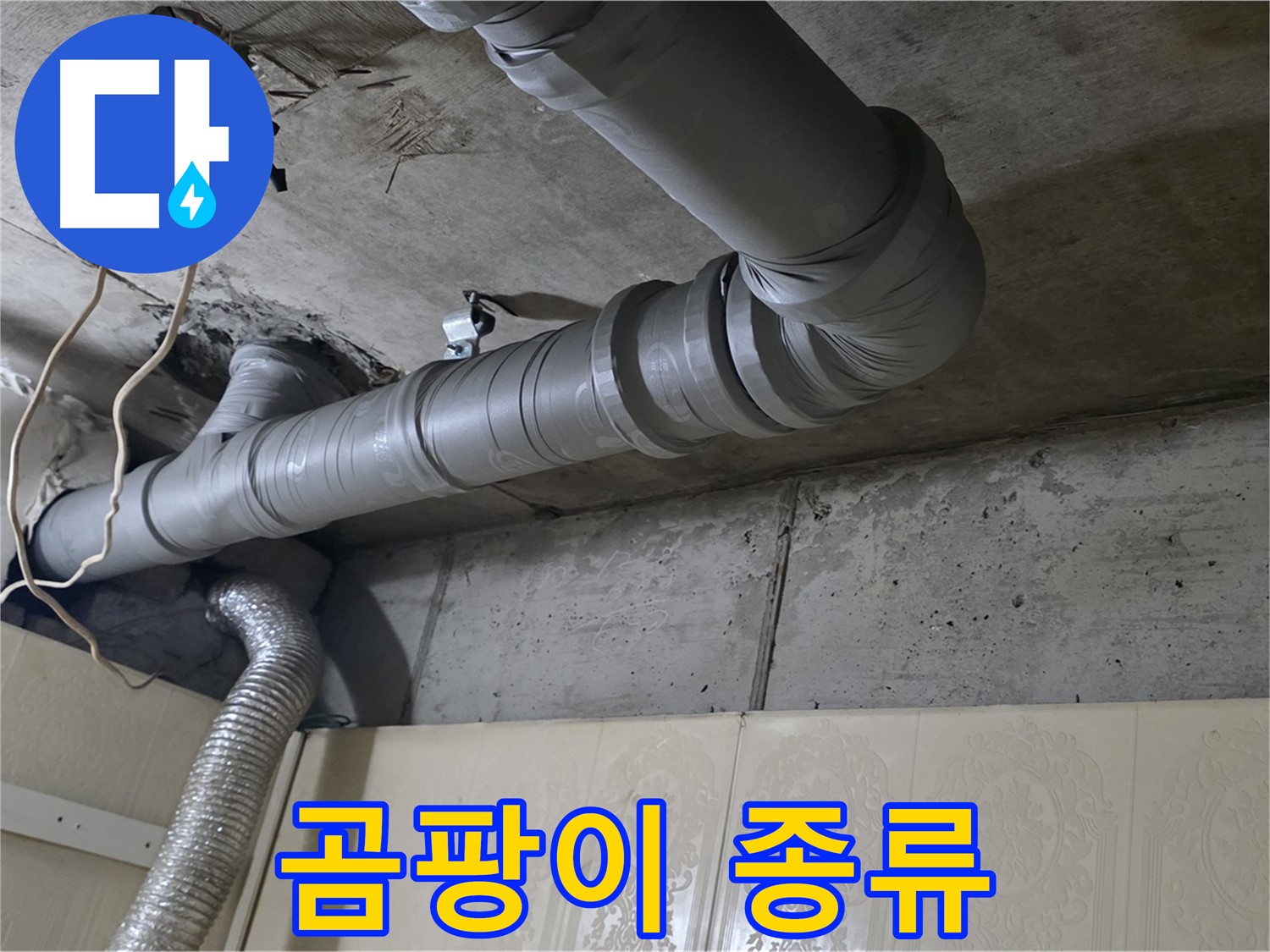 배관 주변 곰팡이 종류 확인 - 배관 주변에 발생한 곰팡이 종류를 확인합니다.