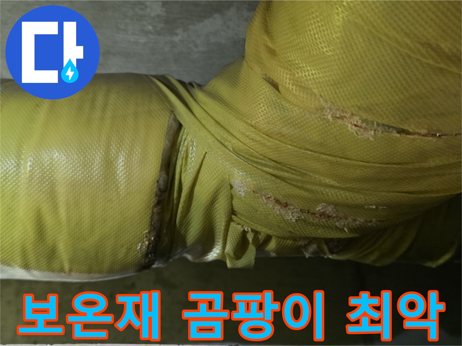 보온재 속 곰팡이 - 실내 공기 최악, 건강 위협 심각, 전문적인 제거 및 관리가 시급합니다.