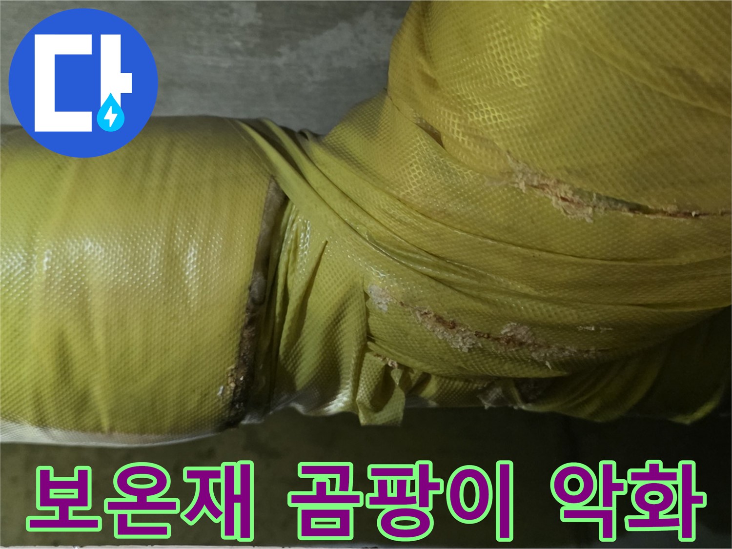 보온재 속 곰팡이 - 심각한 실내 공기 질 악화, 건강 문제 유발, 전문적인 케어가 필요합니다.