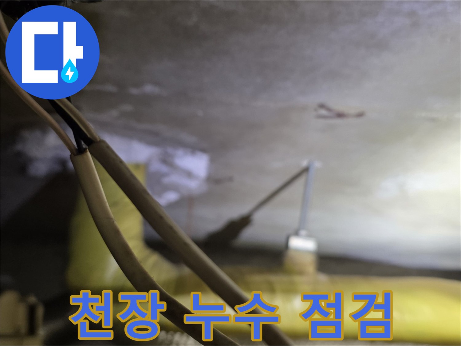 새절역 현대아파트 천장 누수 - 천장 상태를 꼼꼼하게 점검하는 모습
