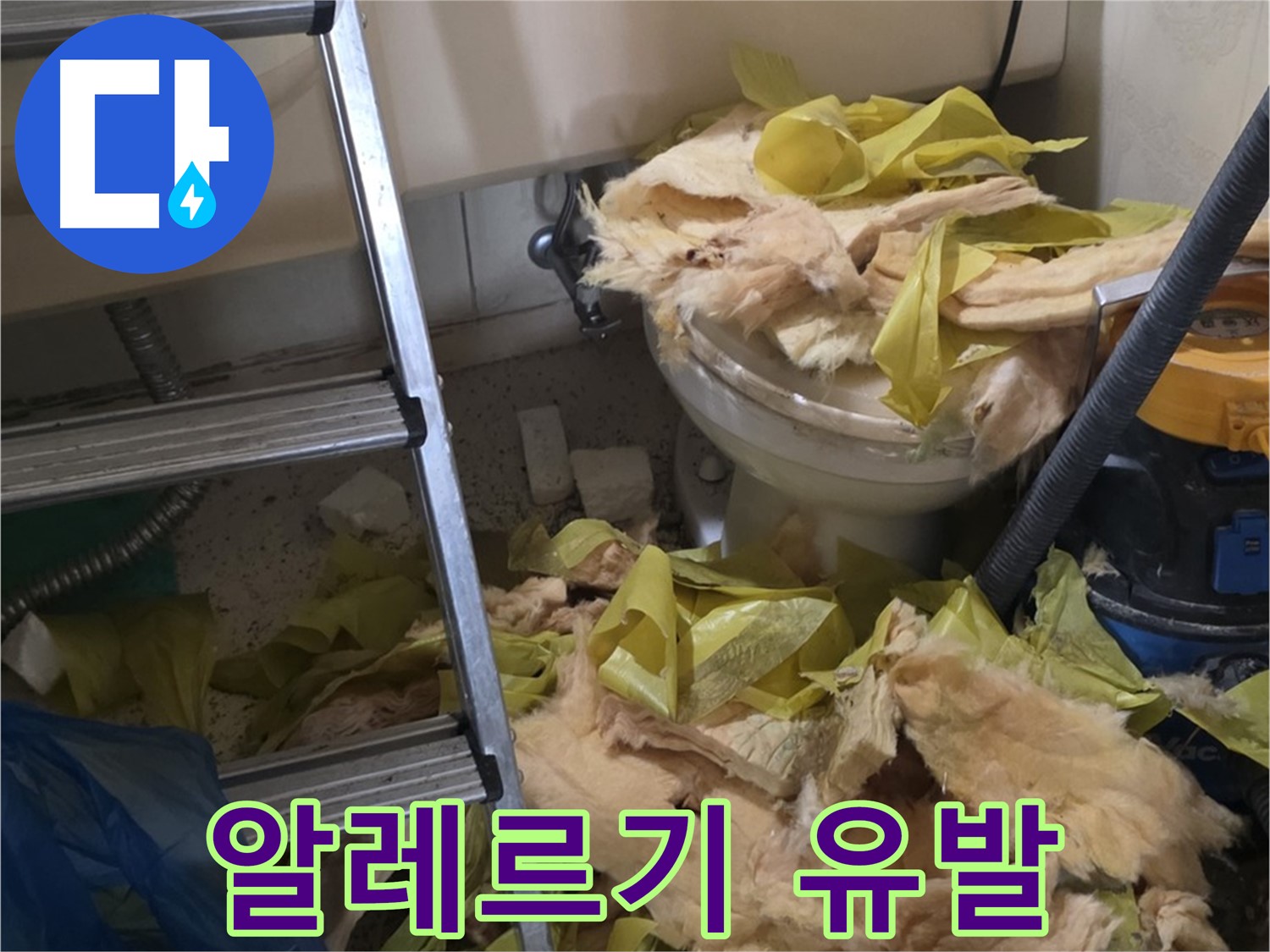 신사동 누수 현장 - 곰팡이와 먼지로 오염된 낡은 보온재 - 알레르기 유발