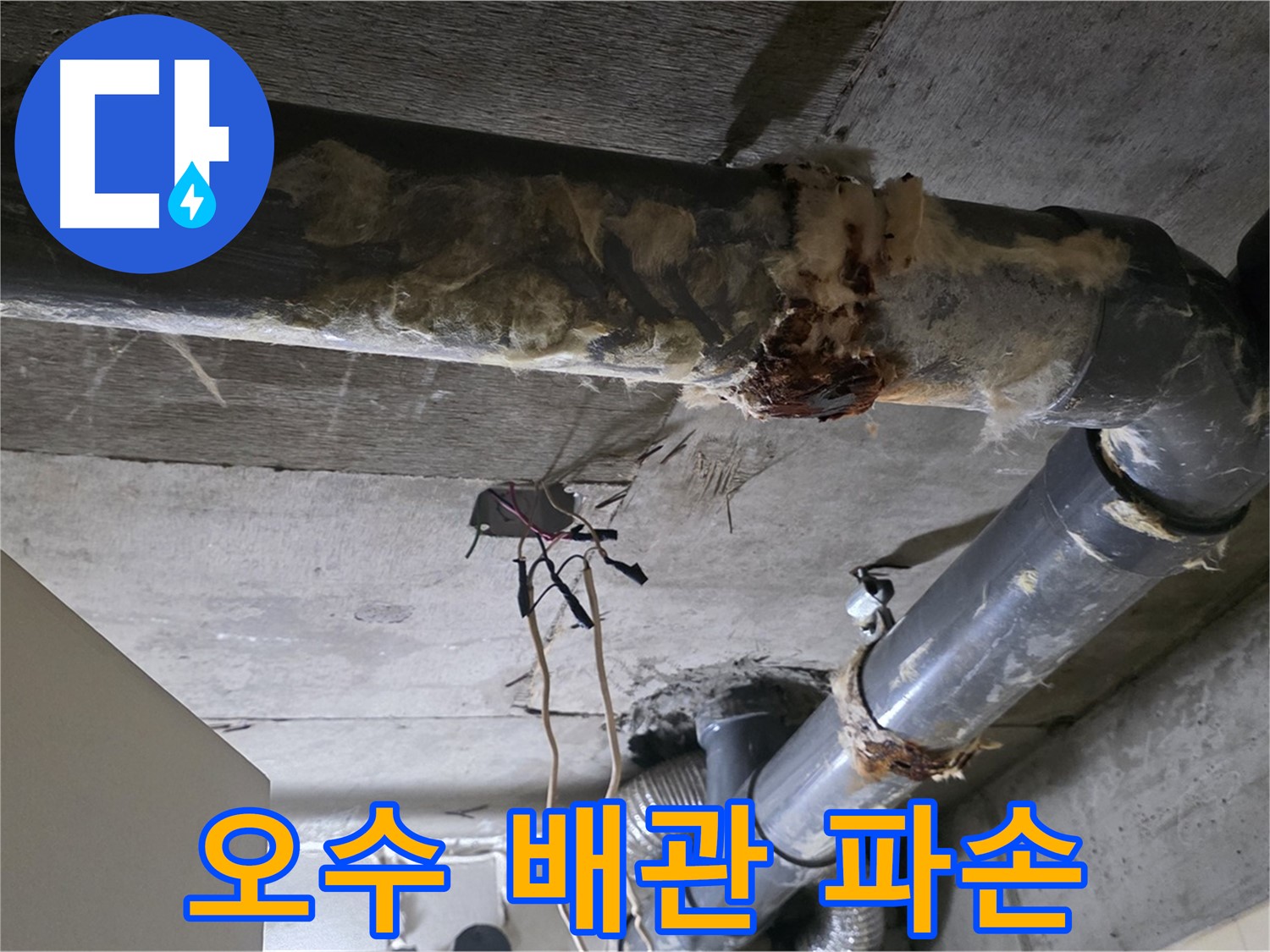 신사동 새절역 현대아파트 누수 - 오수 배관 파손 긴급 복구 및 누수 방지