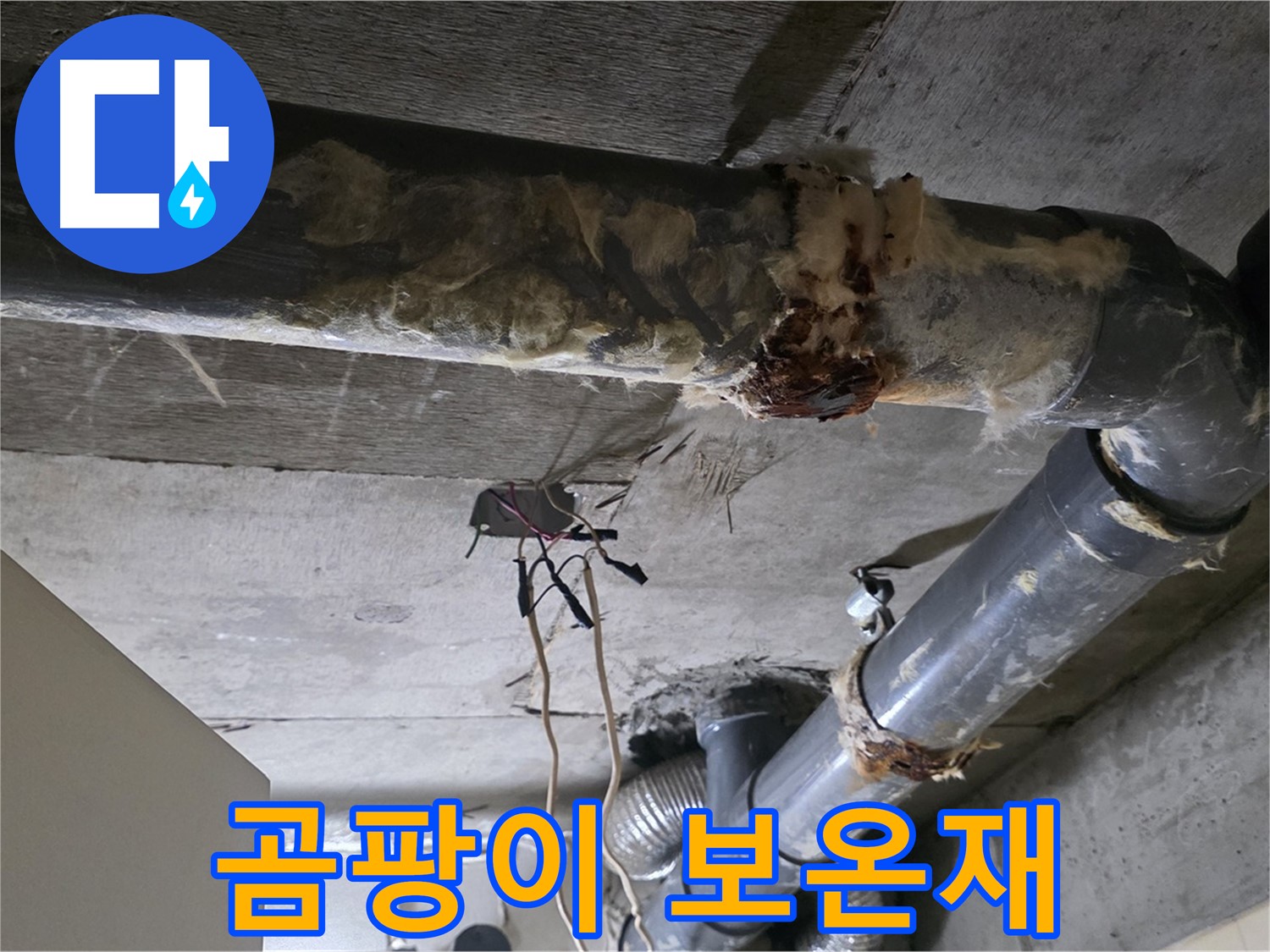신사동 새절역현대아파트 누수 - 곰팡이 핀 낡은 오수 배관 보온재