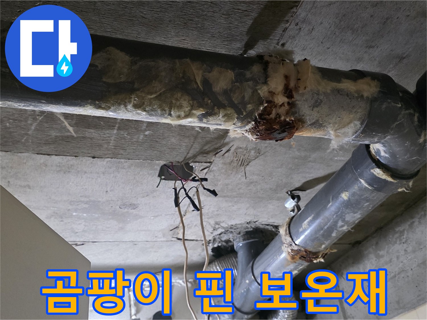 신사동 새절역현대아파트 누수 - 곰팡이 핀 낡은 오수 배관 보온재 - 곰팡이 제거가 시급합니다