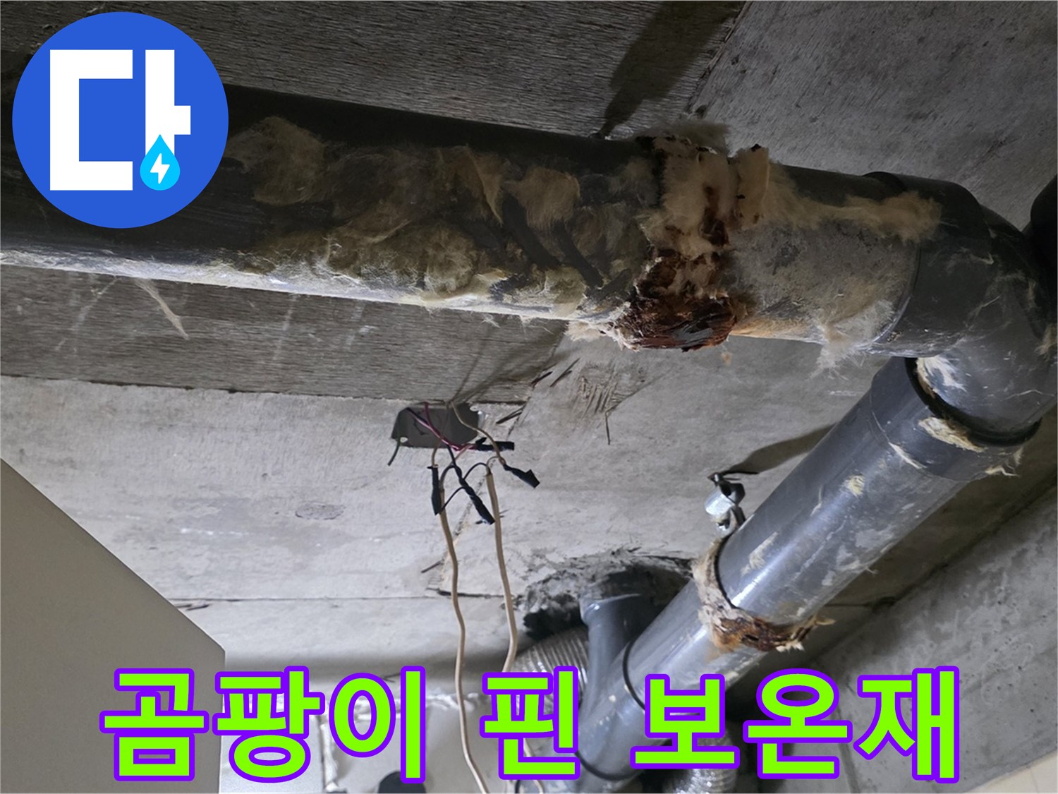 신사동 새절역현대아파트 누수 - 곰팡이 핀 낡은 오수 배관 보온재 - 곰팡이 제거가 시급합니다