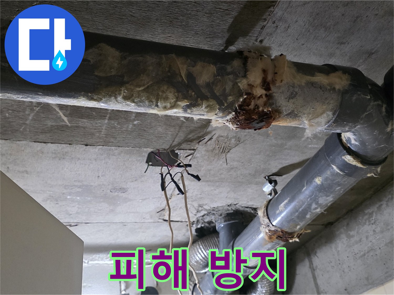 신사동 새절역현대아파트 누수 - 오수 배관 파손 긴급 수리 - 피해 방지