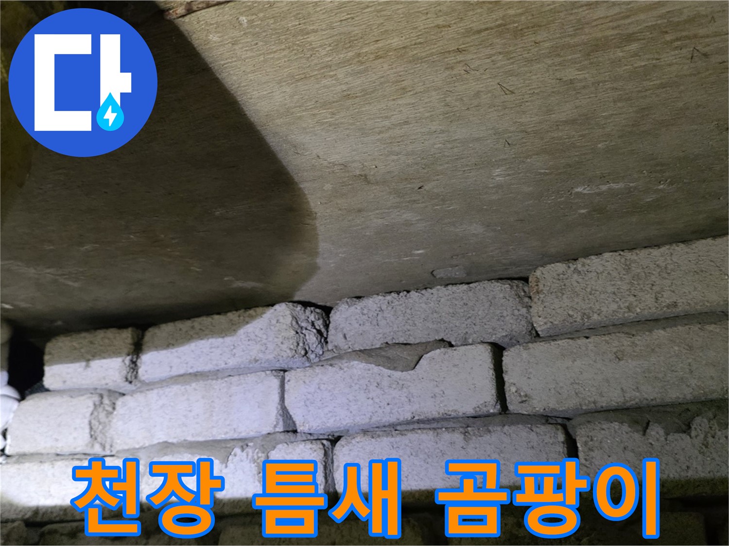 신사동 주택 누수 - 천장 벽돌 틈새 습기 및 곰팡이 발생