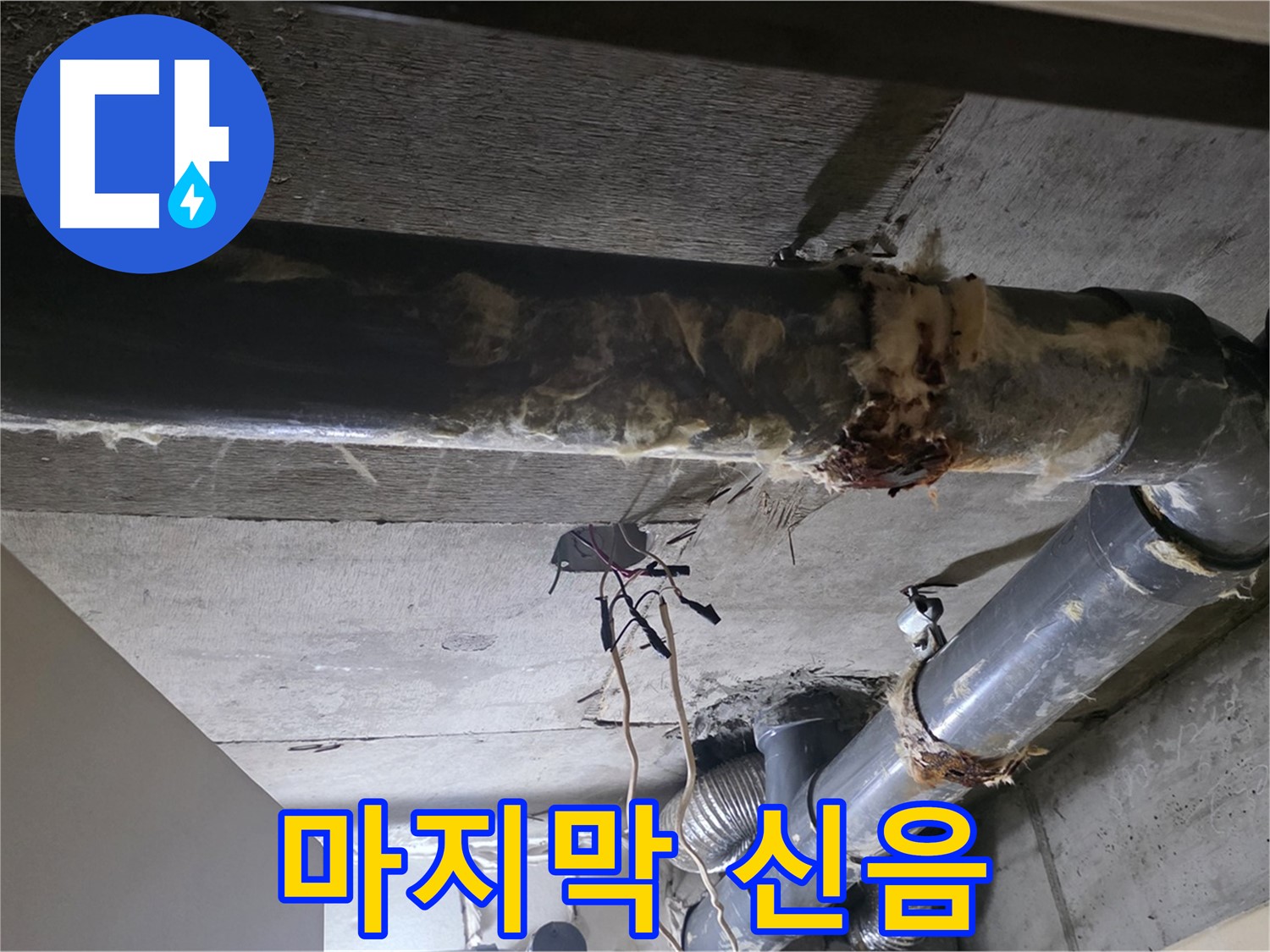 신사동/새절역 - 낡은 보온재 속에 숨겨진 배관의 마지막 신음, 이제 멈춰드릴게요