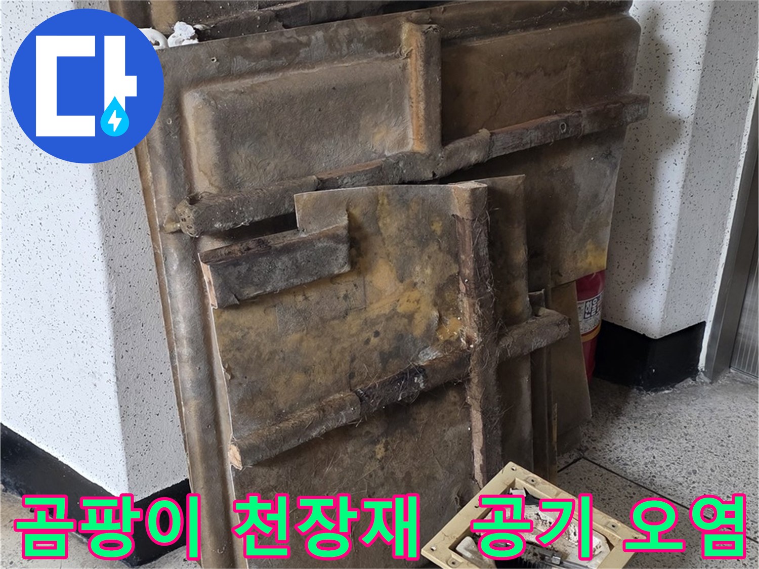 곰팡이 핀 천장재와 조명 - 실내 공기 오염의 주범