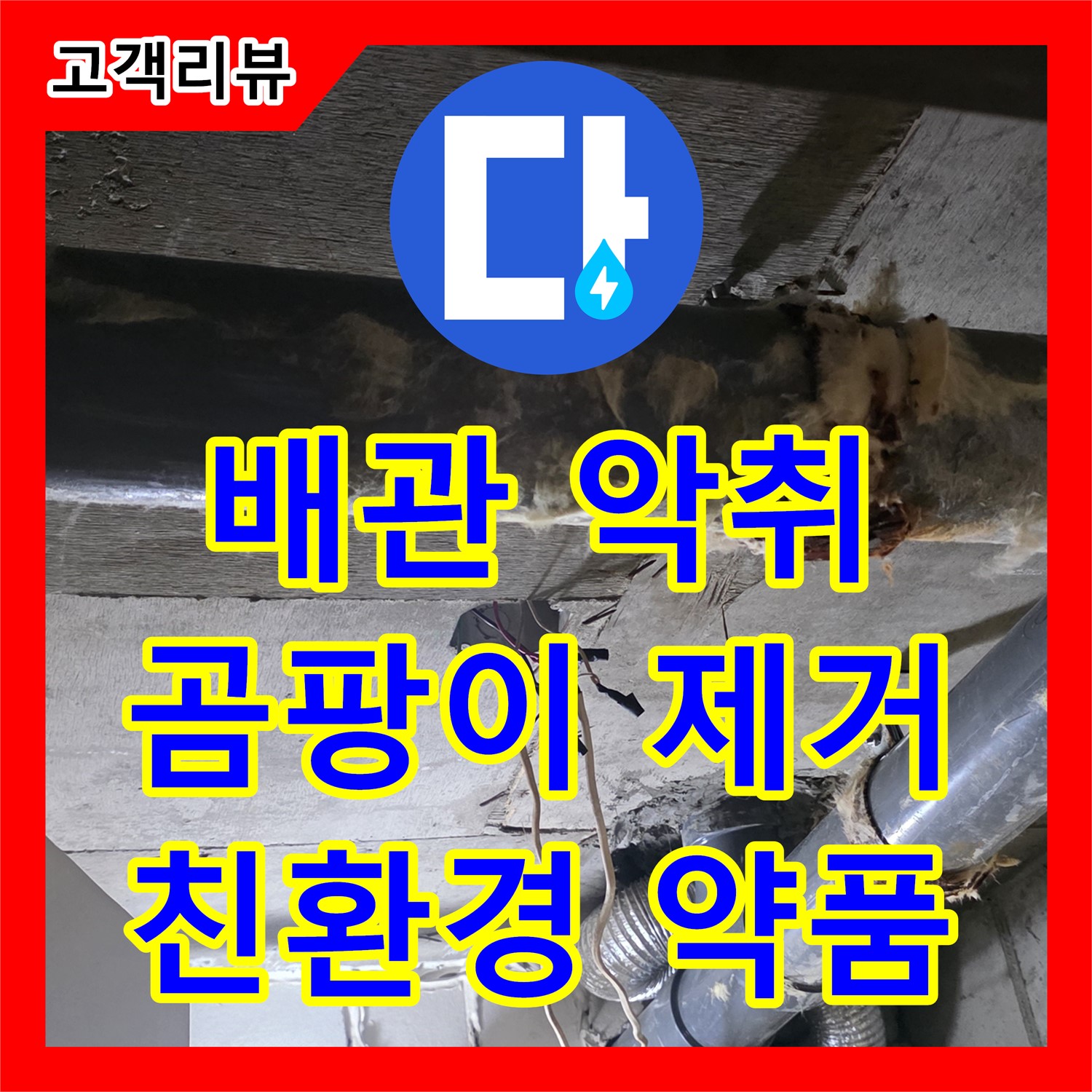 은평구 신사동, 누수업체, 곰팡이 핀 노란 배관 악취, 은평구 친환경 약품으로 제거