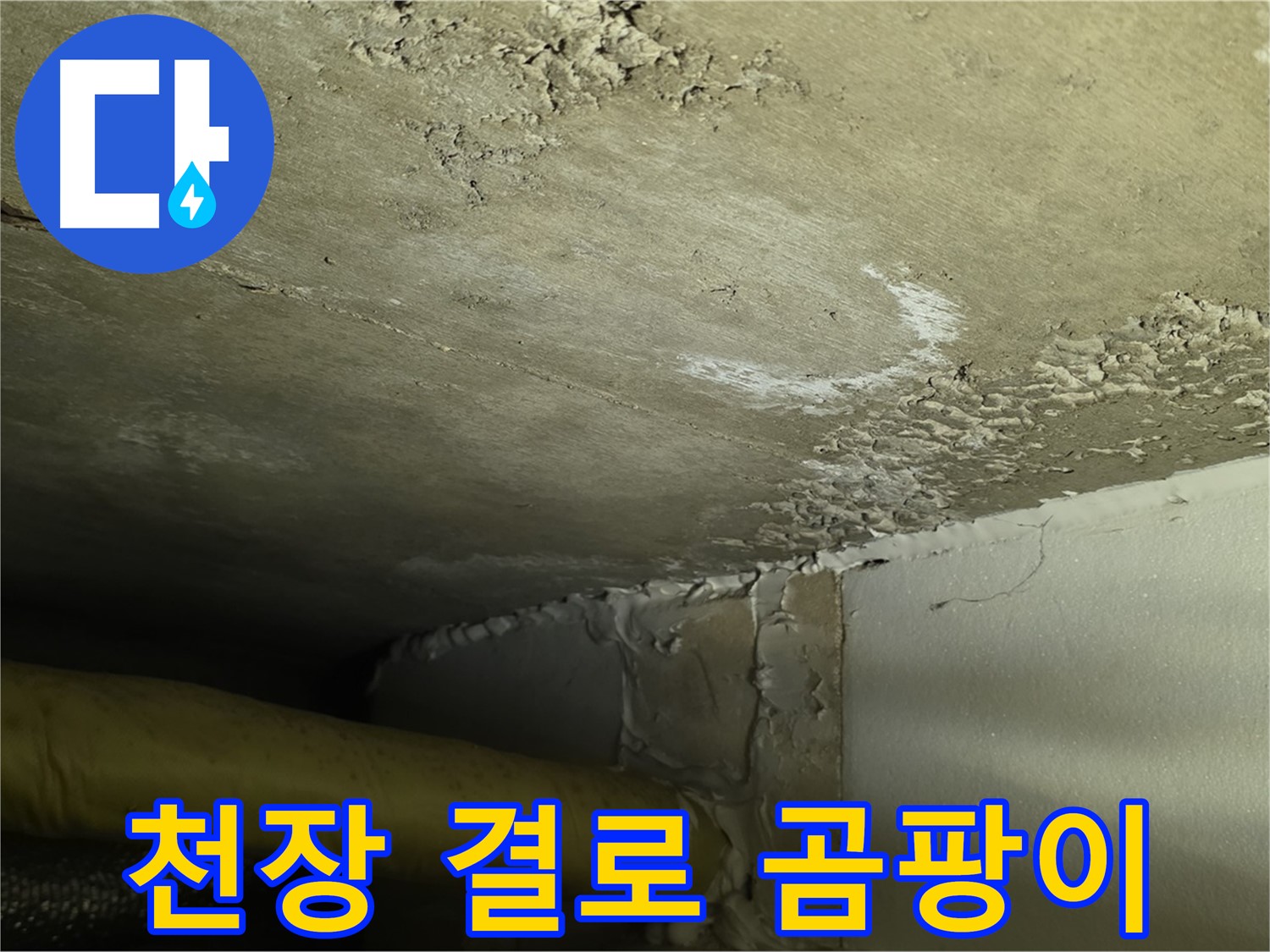 천장 결로 - 곰팡이 발생 - 습도 관리 및 환기 중요성
