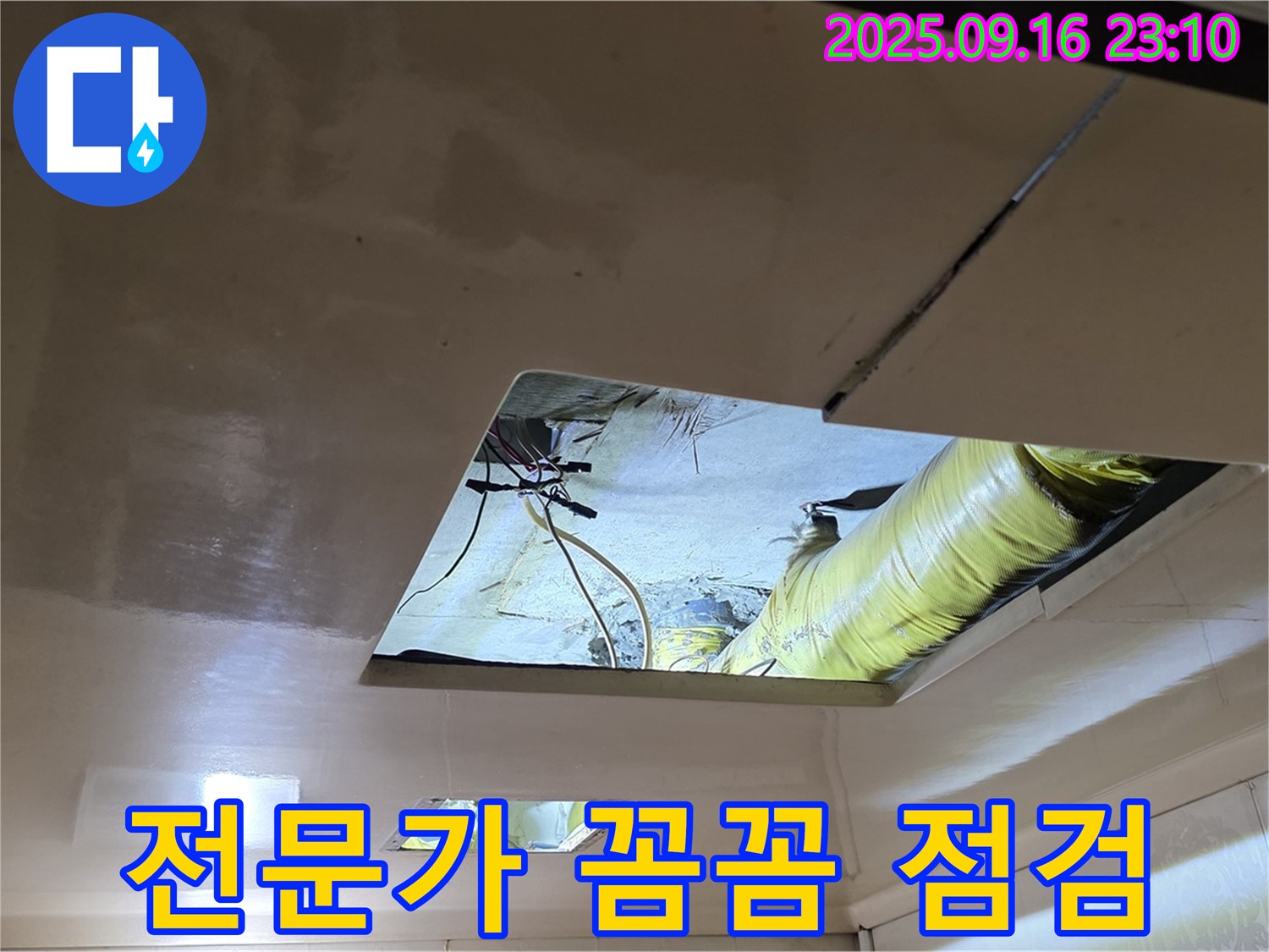 천장 속 점검 - 누수 해결 전문가가 꼼꼼하게 천장 내부를 점검하고 있습니다.