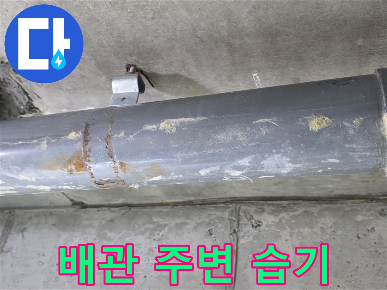 하수 배관 누수 징후 - 배관 주변에서 습기를 발견했습니다.