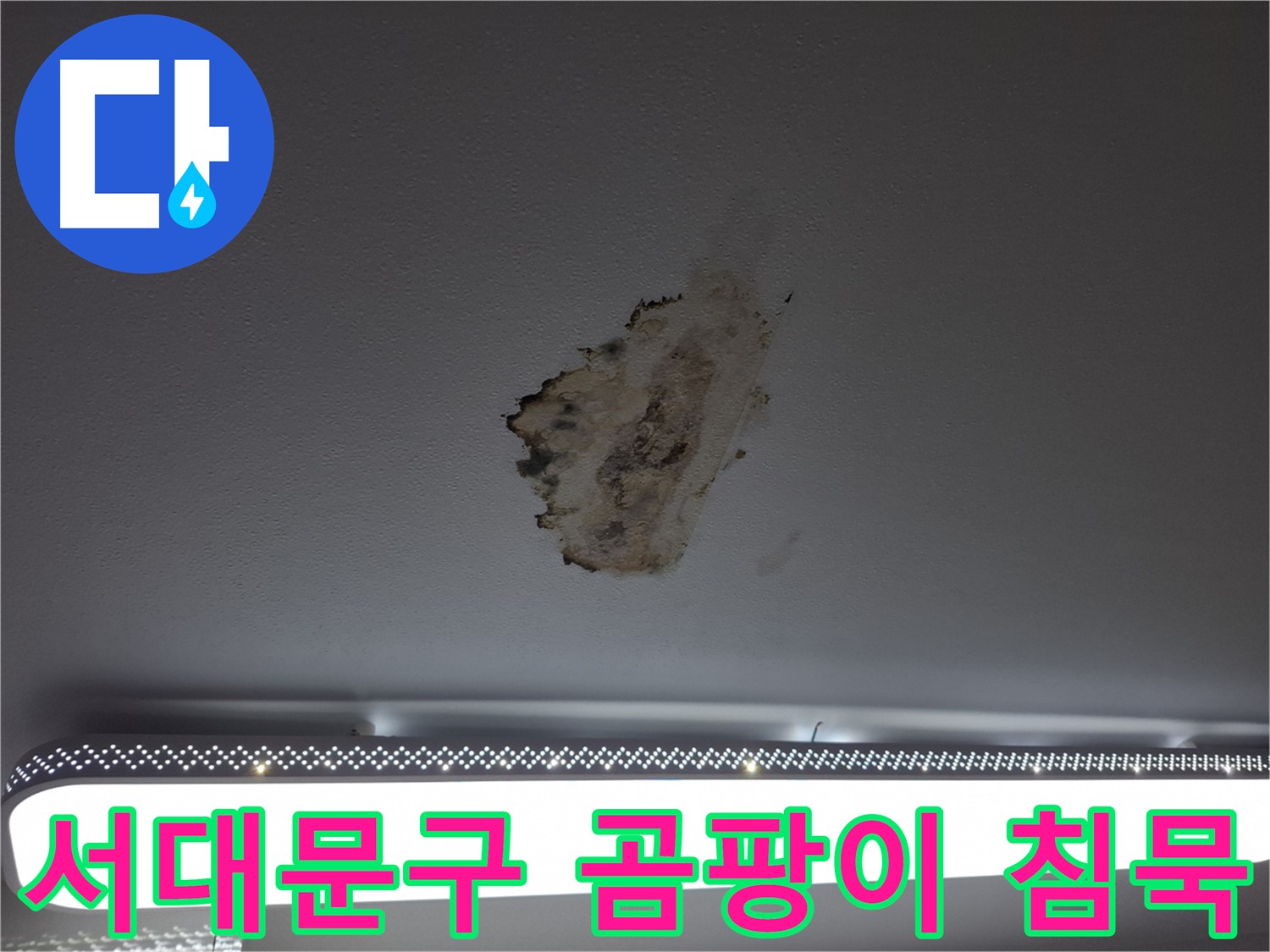 곰팡이 천장 - 침묵을 깰 시간입니다
