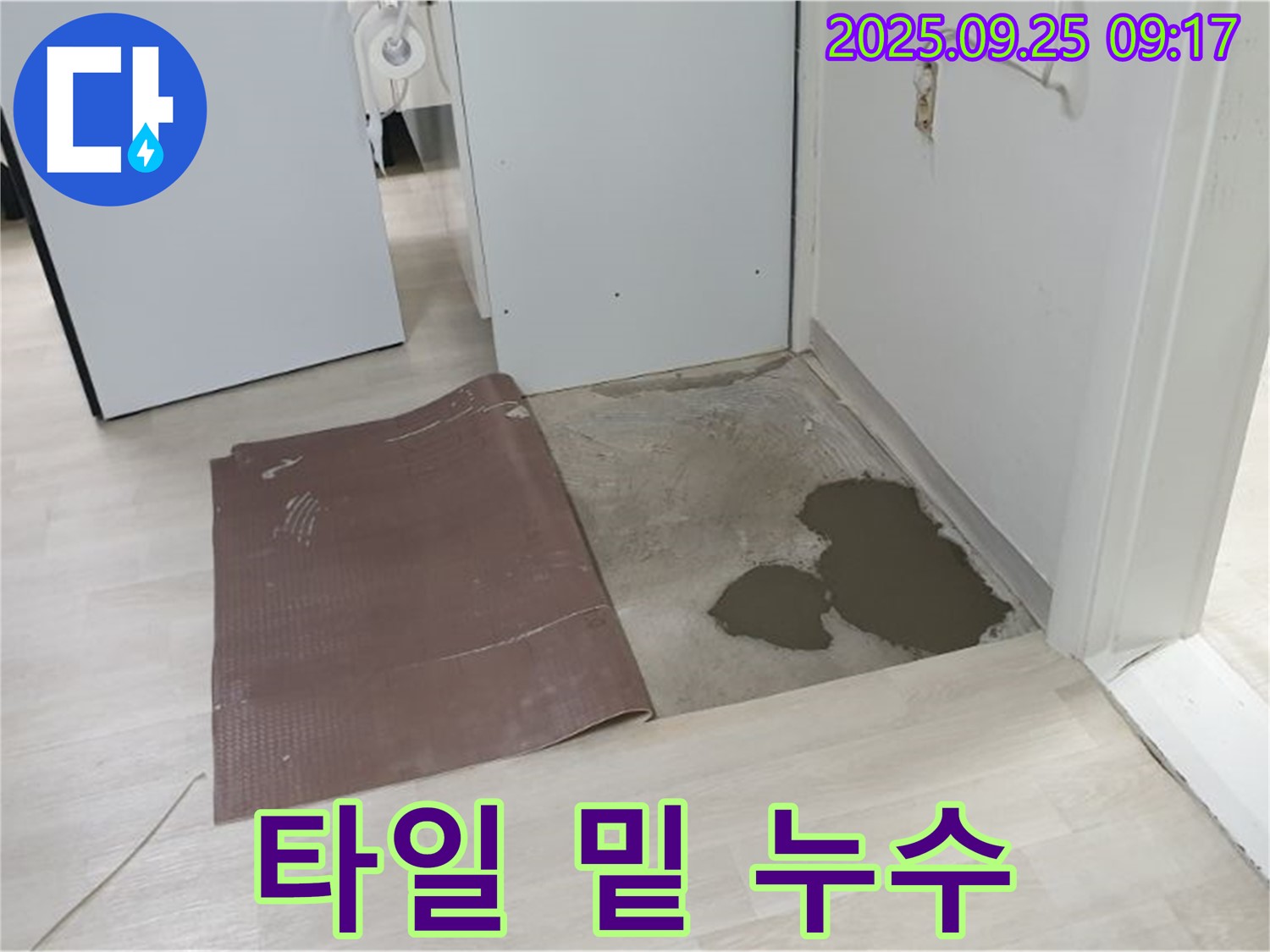 양주시 백석읍 연곡리 누수 - 타일 아래 숨어있던 누수 발견