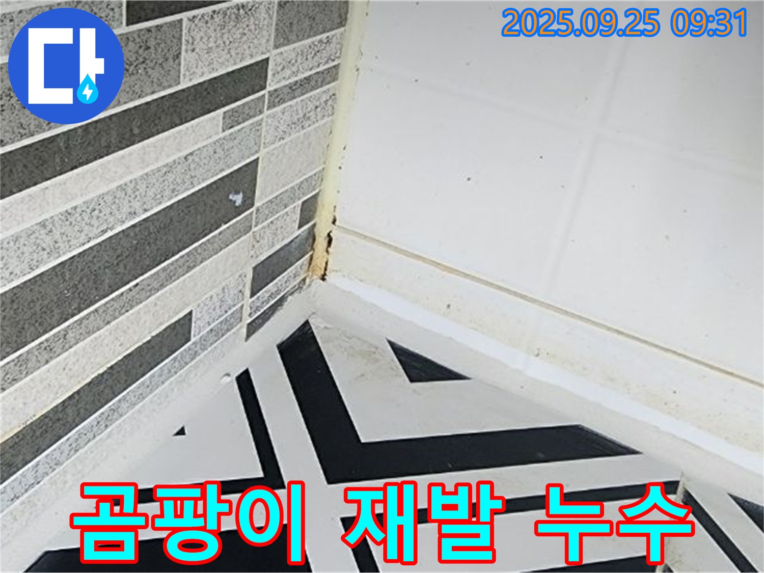 양주시 백석읍 오산리 - 곰팡이를 닦아도 계속 생기는 욕실 - 재발하는 곰팡이