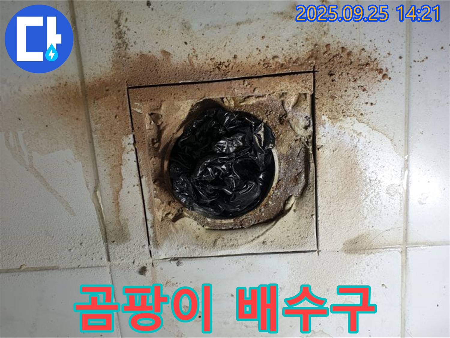 의정부1동 화장실 곰팡이 배수구 - 완벽한 청소로 쾌적하게