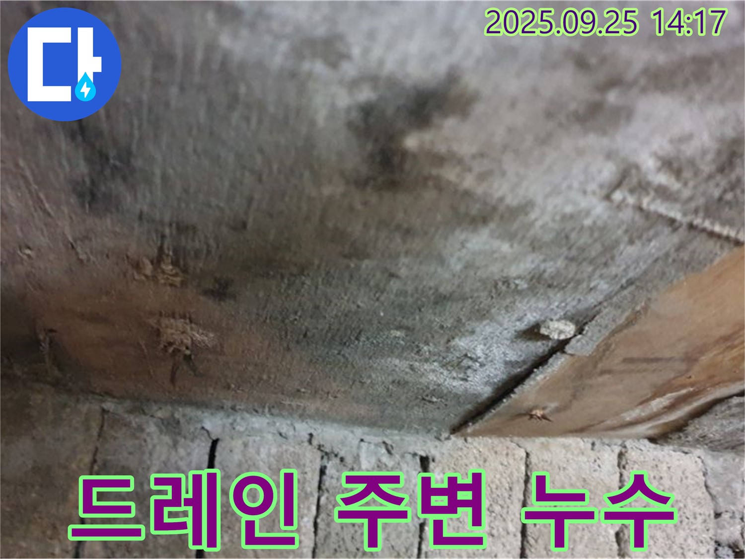 의정부 호원동 누수 현장 - 옥상 드레인 주변에서 누수가 발생하고 있는 모습입니다.