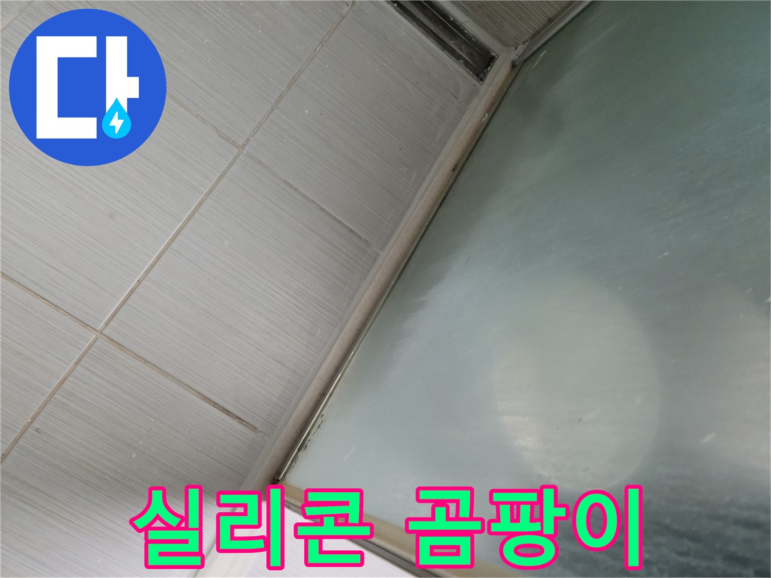 강변로 샤워부스 하단 실리콘 곰팡이 - 곰팡이 제거 및 실리콘 재시공