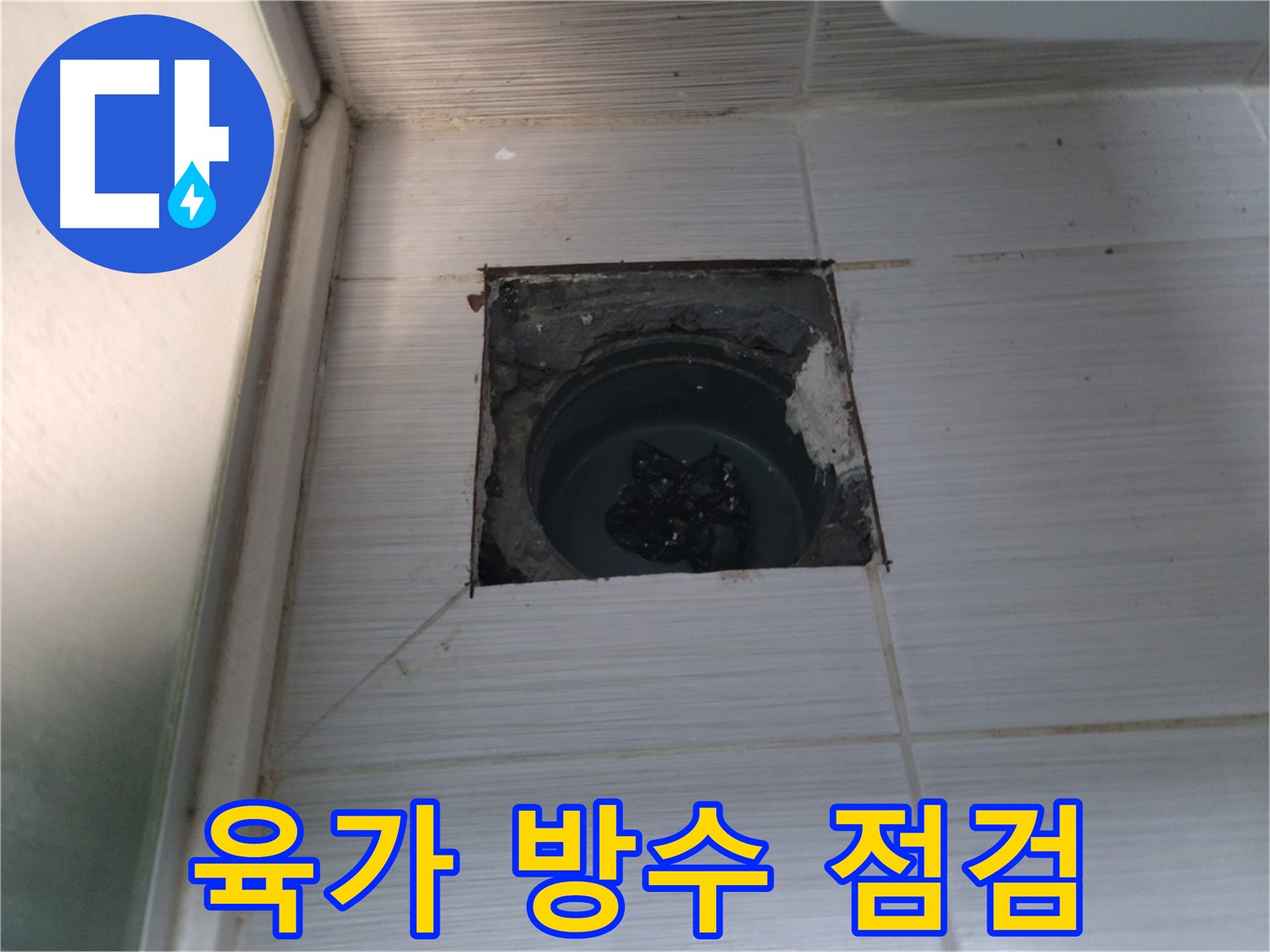 동두천 강변로 욕실 하수구 - 육가 주변의 방수 상태를 꼼꼼히 점검합니다.