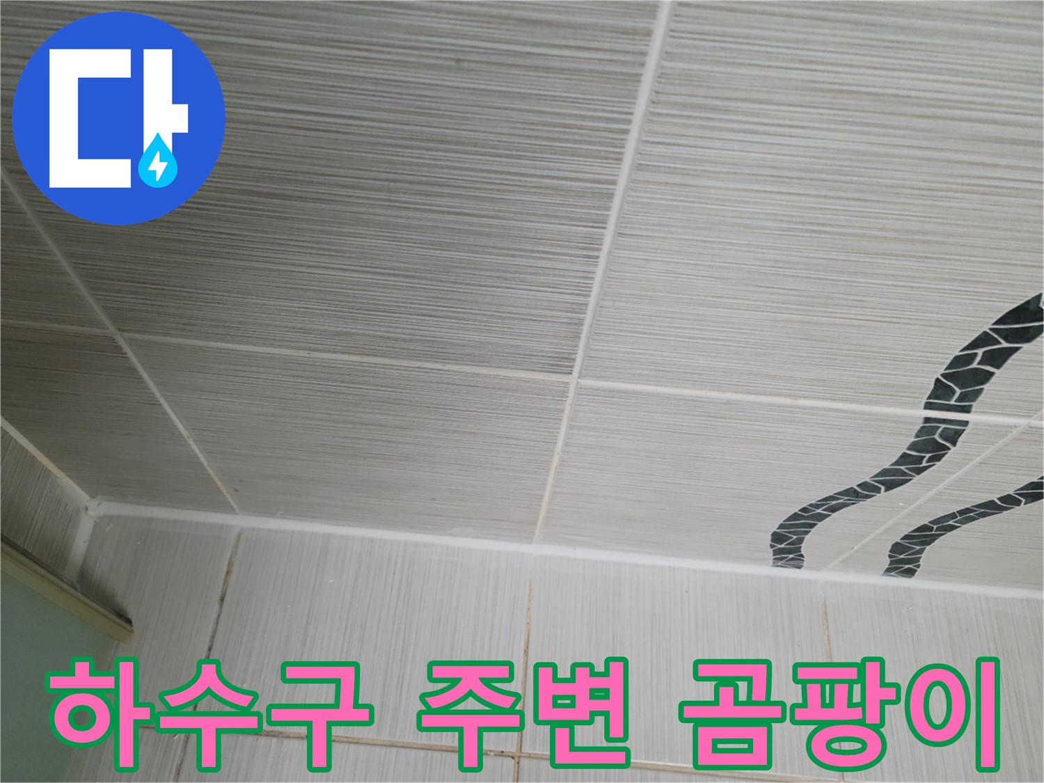 동두천 누수 - 베란다 하수구 주변에 곰팡이가 심하게 핀 것을 확인하고 곰팡이 제거 작업을 진행했습니다.