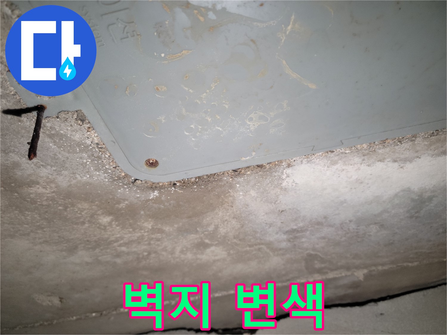 동두천 누수 - 생연동 점검구 주변 벽지 변색 - 누수 의심 징후