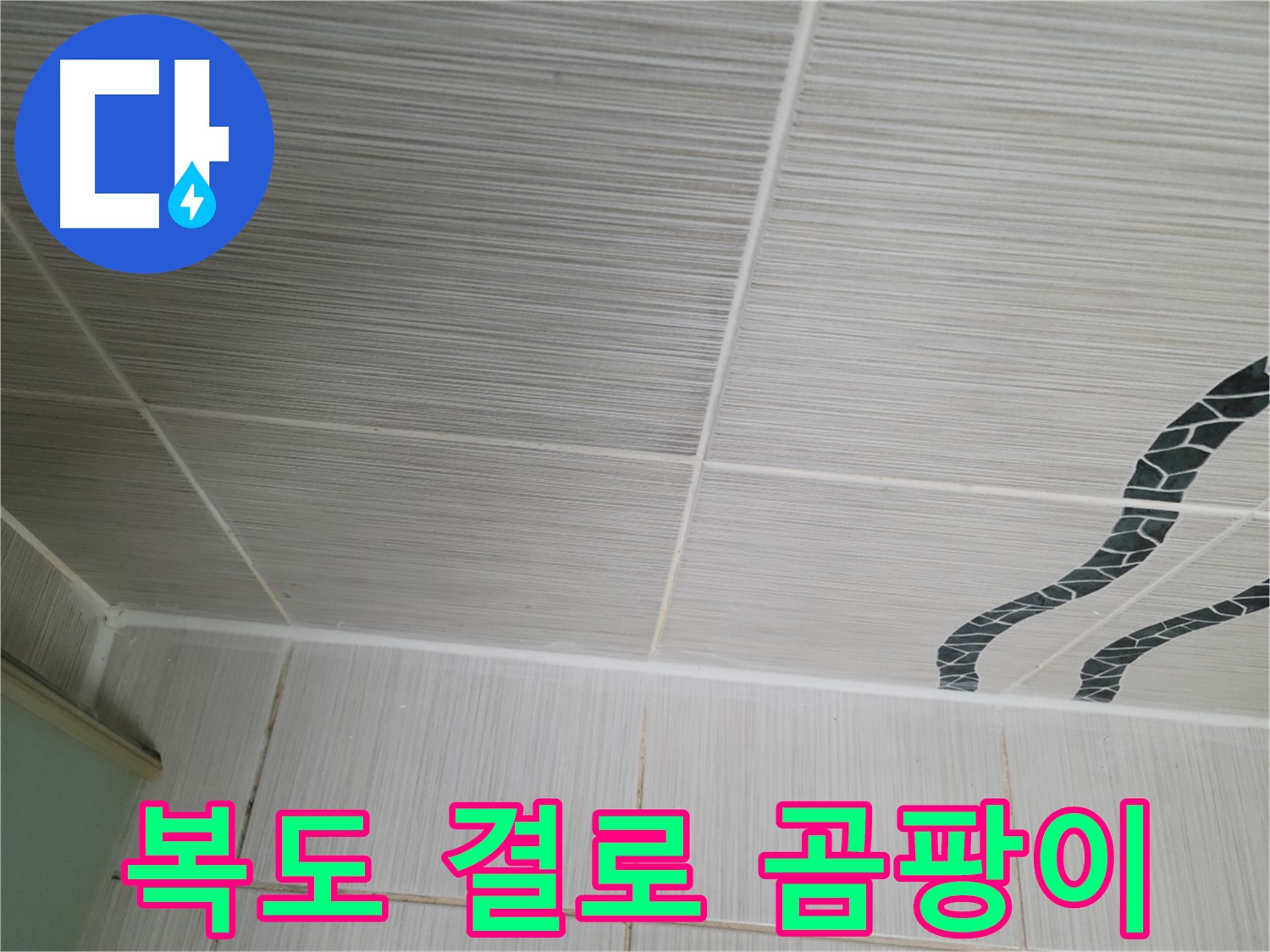 동두천 누수 - 아파트 복도식 쪽에 결로 현상으로 벽에 곰팡이가 발생한 것을 확인했습니다.