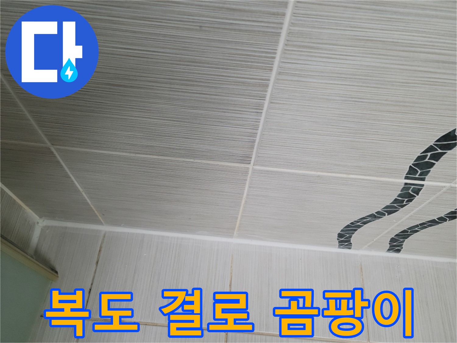 동두천 누수 - 아파트 복도식 쪽에 결로 현상으로 벽에 곰팡이가 발생한 것을 확인했습니다.