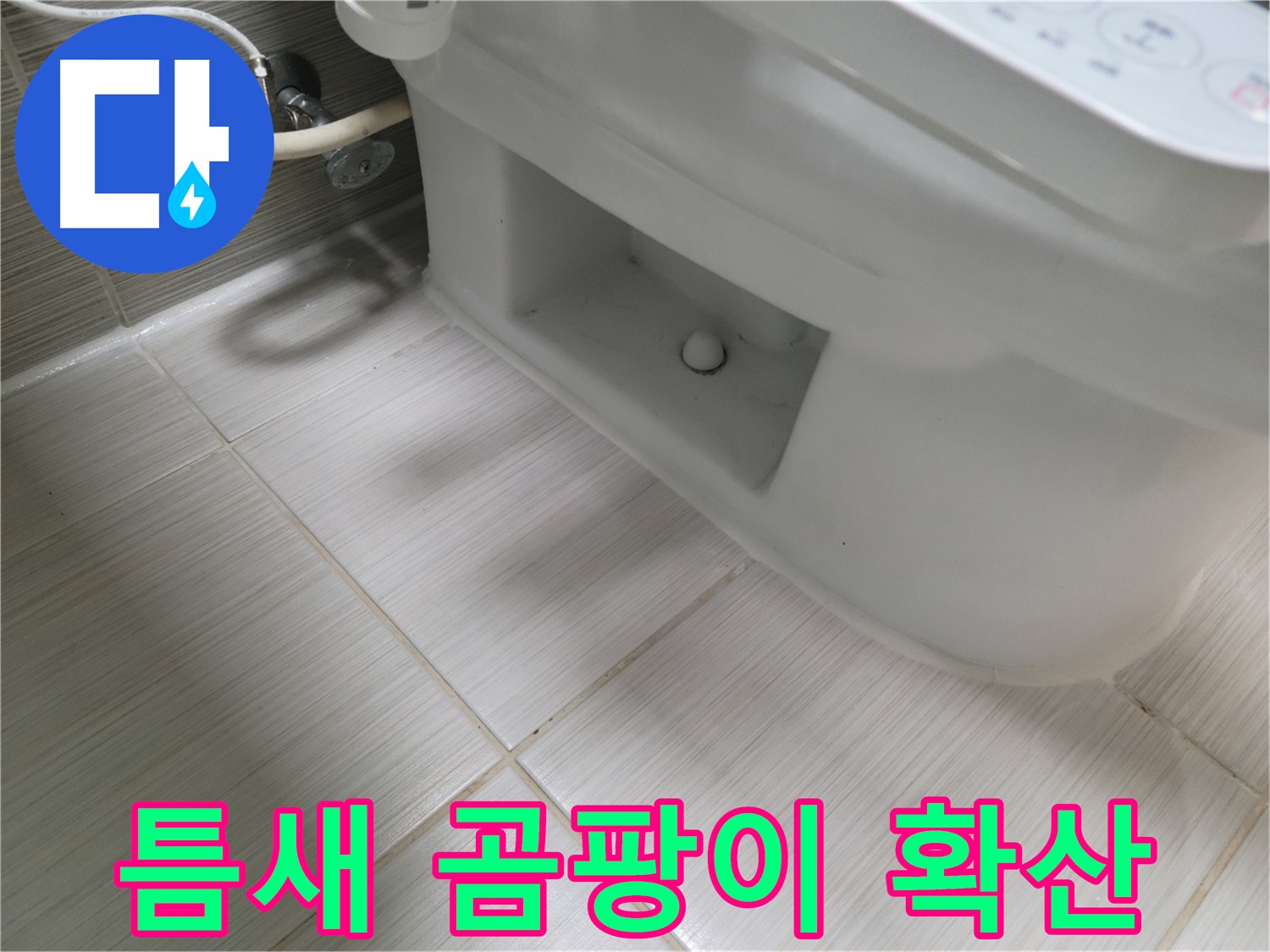 동두천 변기 누수 - 틈새 곰팡이 확산 - 건강 악화 우려