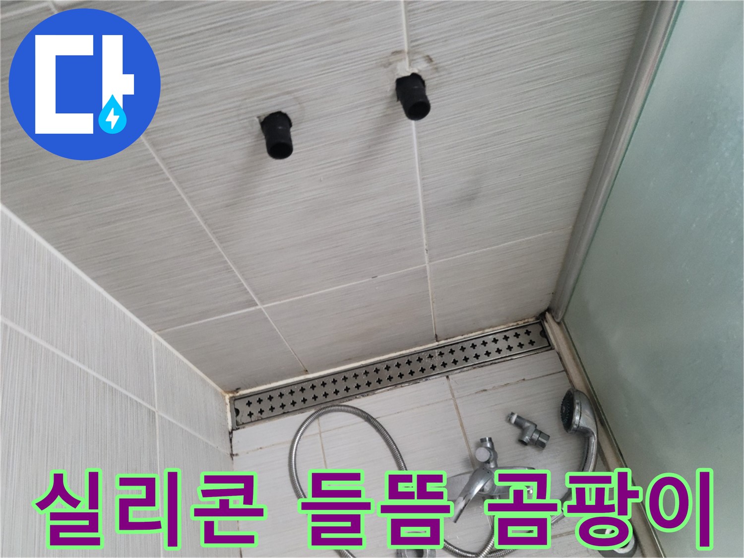 동두천 신창비바 - 샤워기 주변 실리콘의 들뜸과 곰팡이 - 곰팡이 핀 실리콘은 무용지물