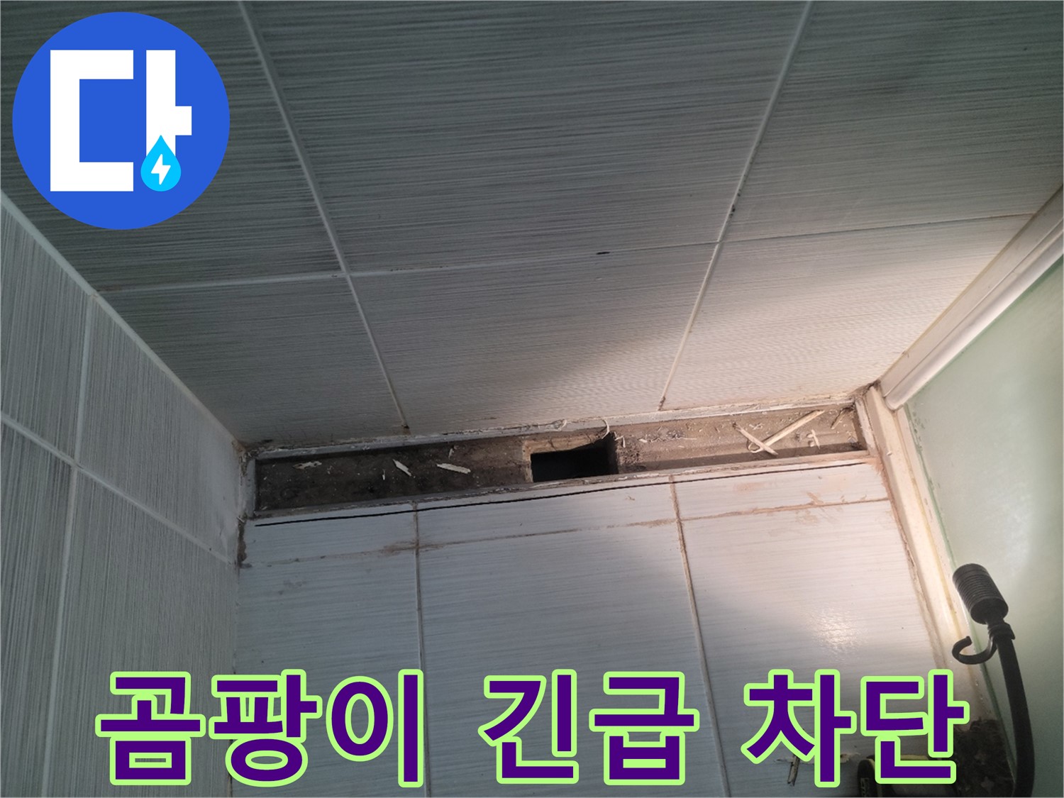 동두천 신창비바패밀리 욕실 천장 누수 - 곰팡이 주의, 긴급 차단