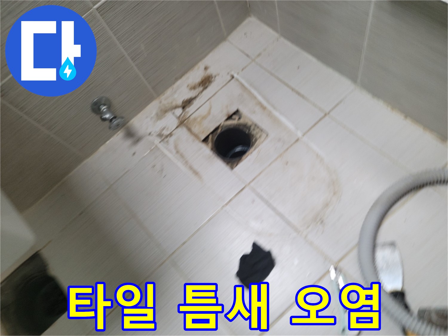 동두천시 광암동 - 욕실 하수구 주변 타일 틈새 오염 - 누수 의심