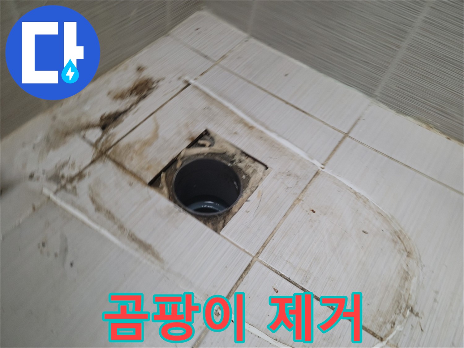 배수구 주변 - 곰팡이 완벽 제거 작업 중