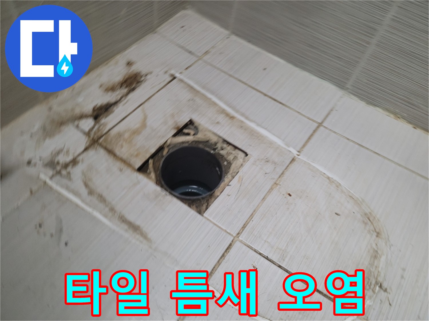 배수구 주변 - 타일 틈새 오염, 누수 위험