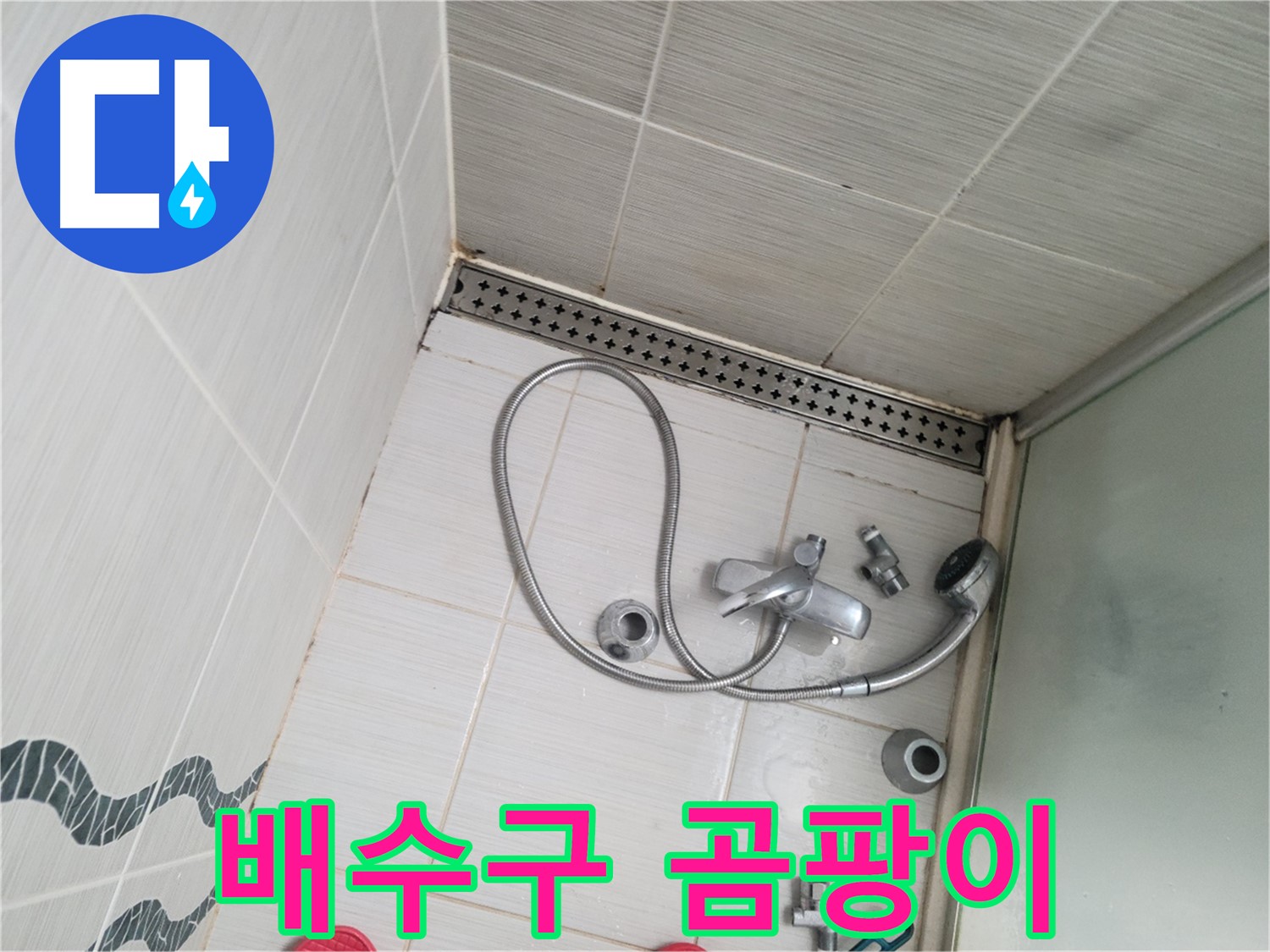 샤워기 배수구 주변 곰팡이 - 불결