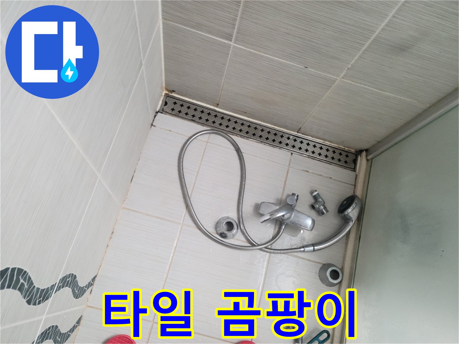 샤워기 수전 주변 타일 곰팡이 - 건강 위협