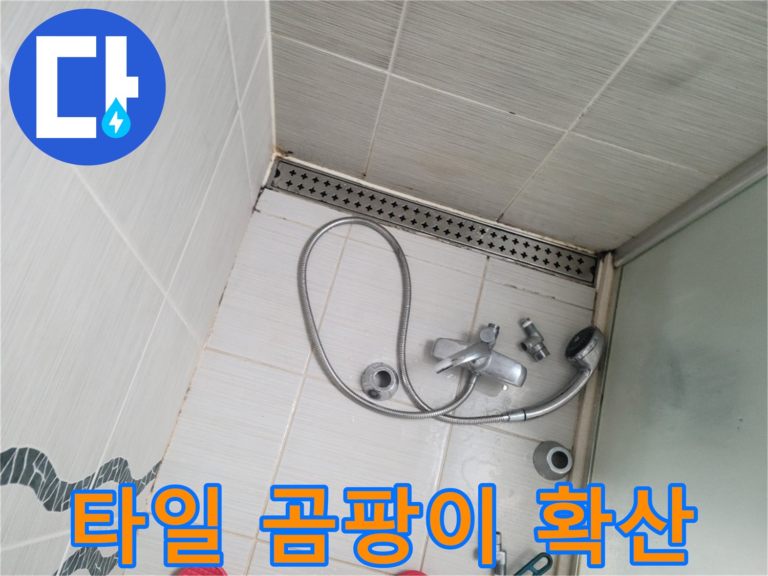 샤워기 수전 주변 타일 곰팡이 확산 - 건강 위협