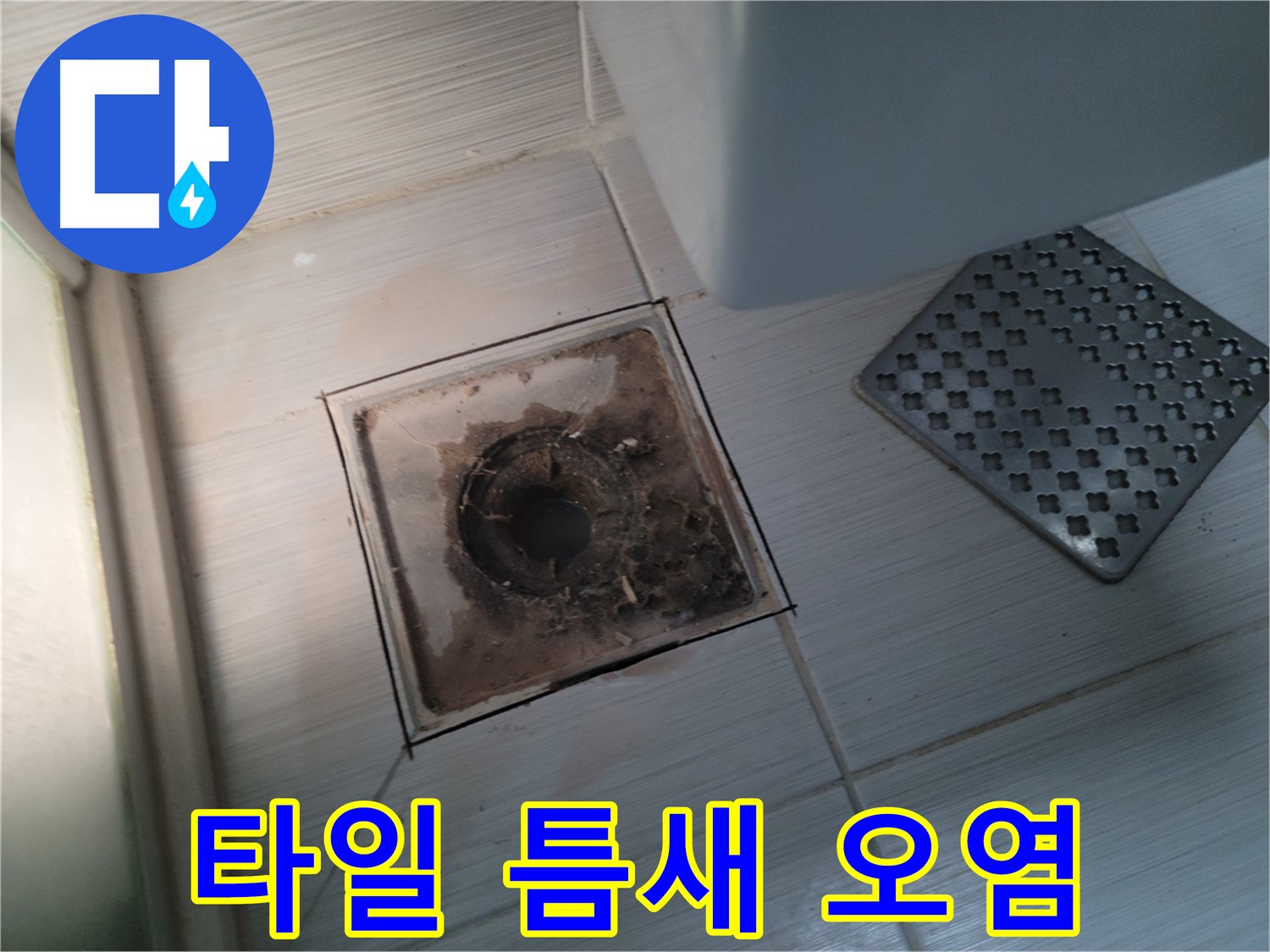 욕실 배수구 - 타일 틈새 오염 - 누수 위험 점검
