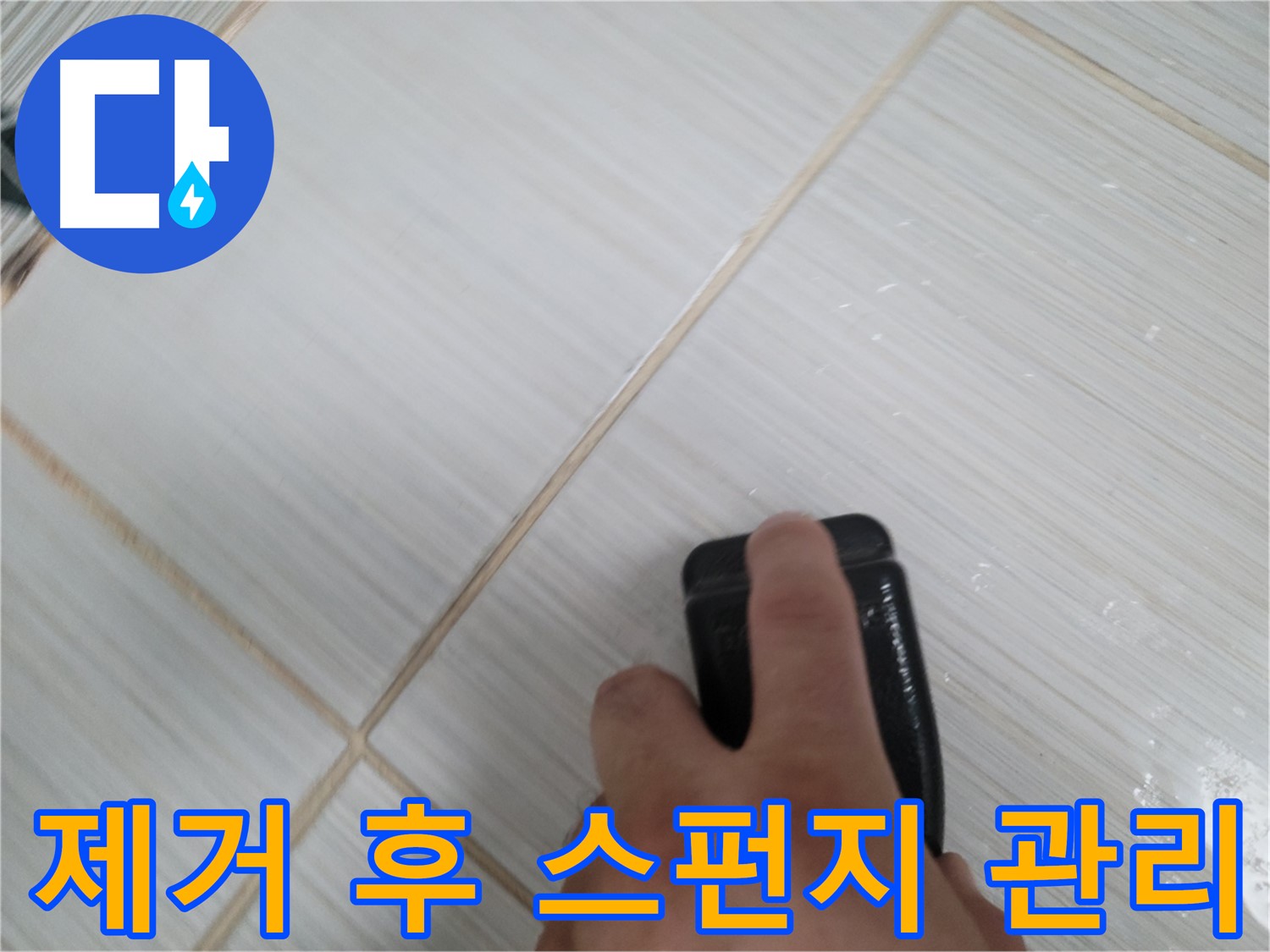 타일 틈새 - 곰팡이 제거 후 깨끗 스펀지 관리