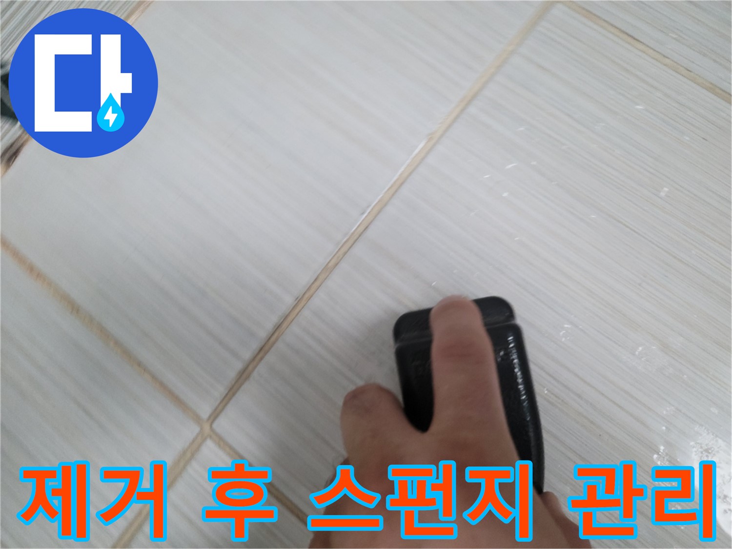 타일 틈새 - 곰팡이 제거 후 스펀지 깨끗 관리