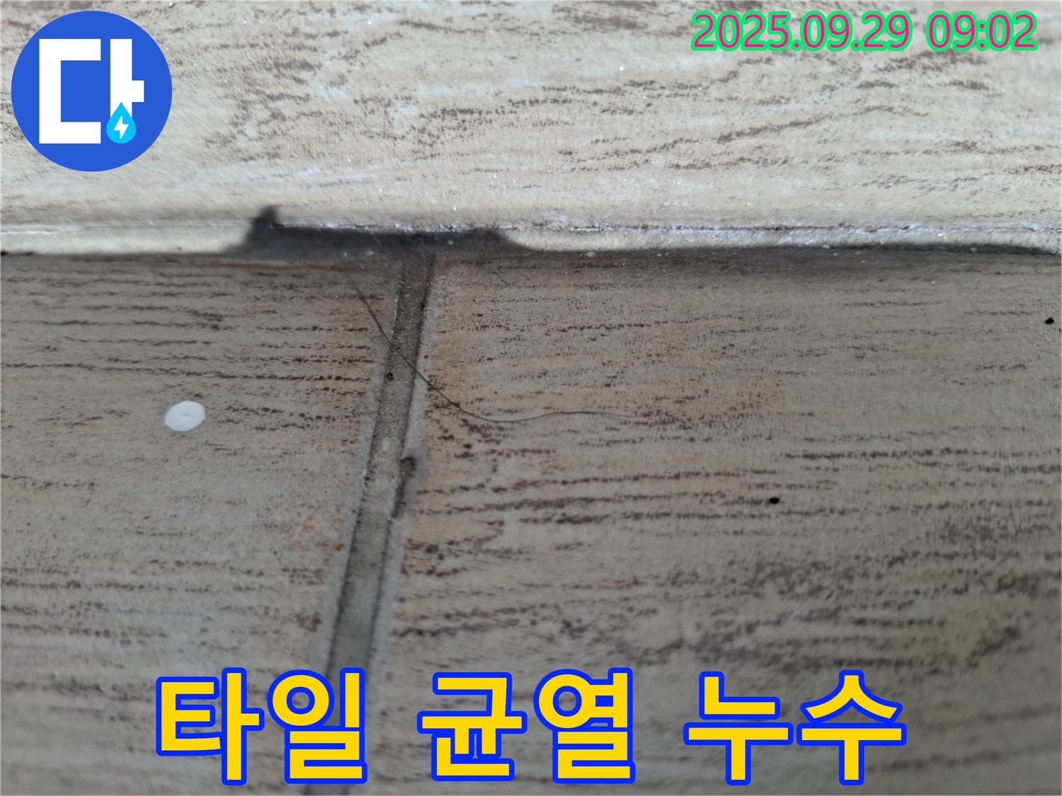 양주시 누수 - 타일 균열을 통한 누수, 첨단 장비와 기술력으로 완벽하게 해결합니다.